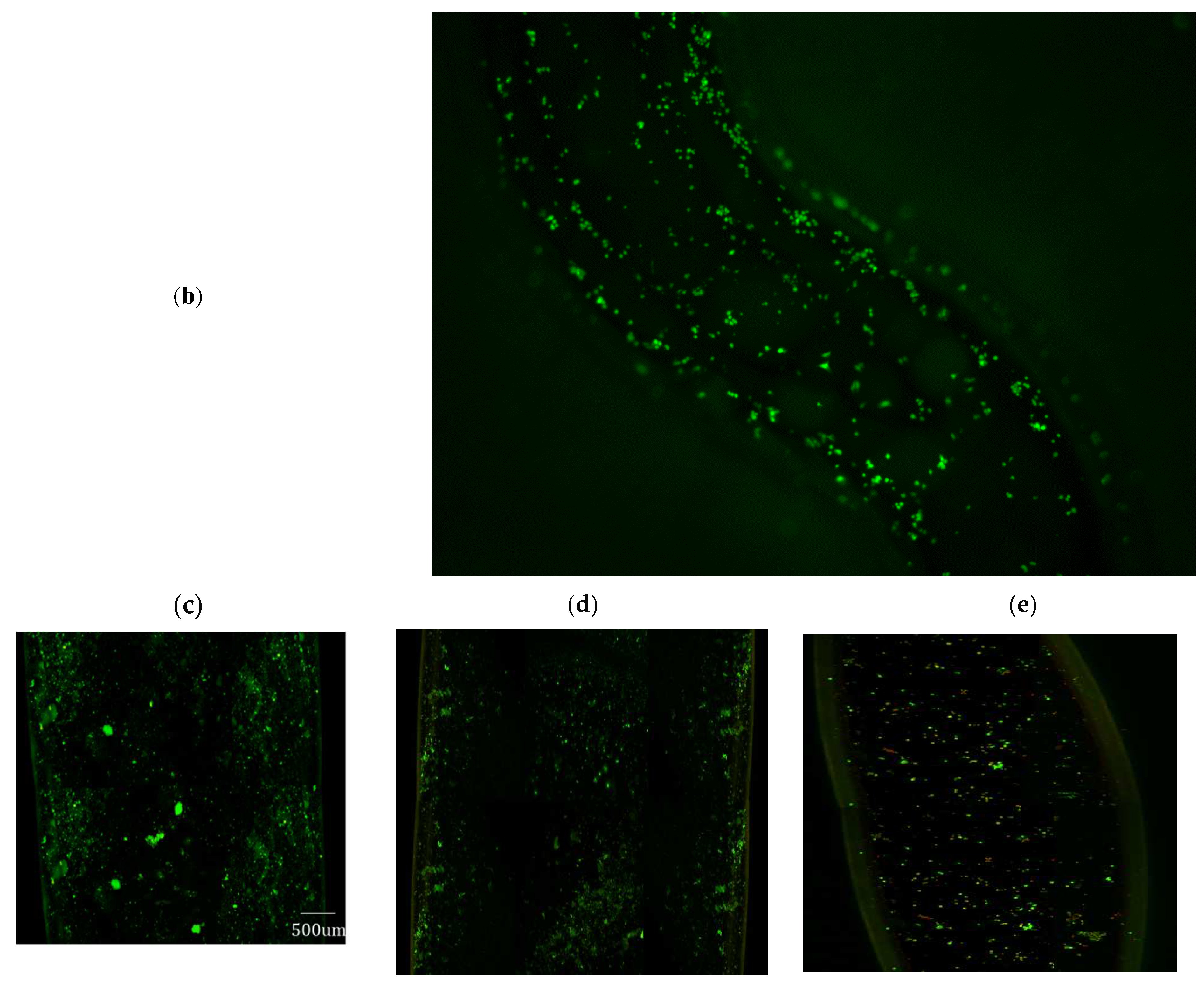 Micromachines 13 01766 g010b