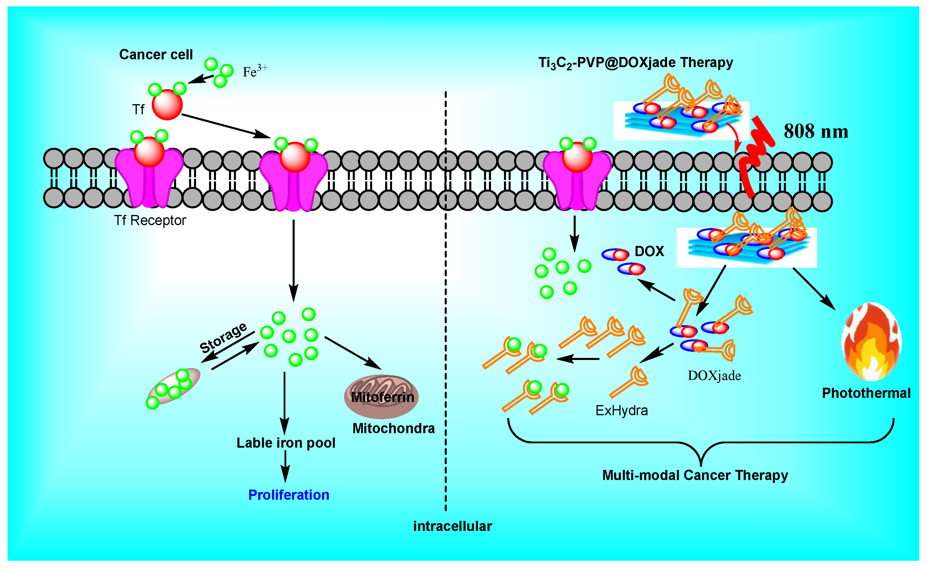 Micromachines 13 01773 g004