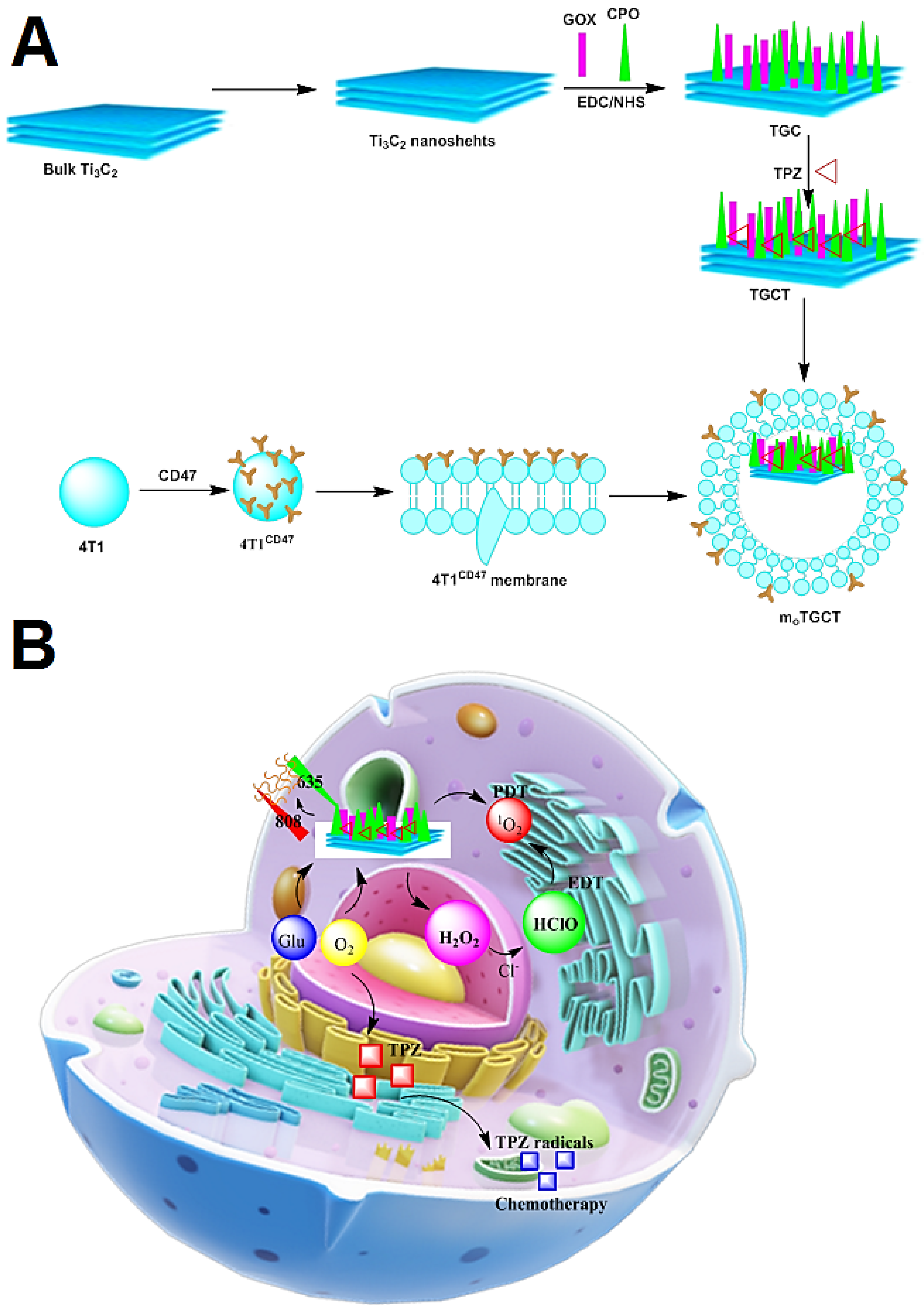 Micromachines 13 01773 g005