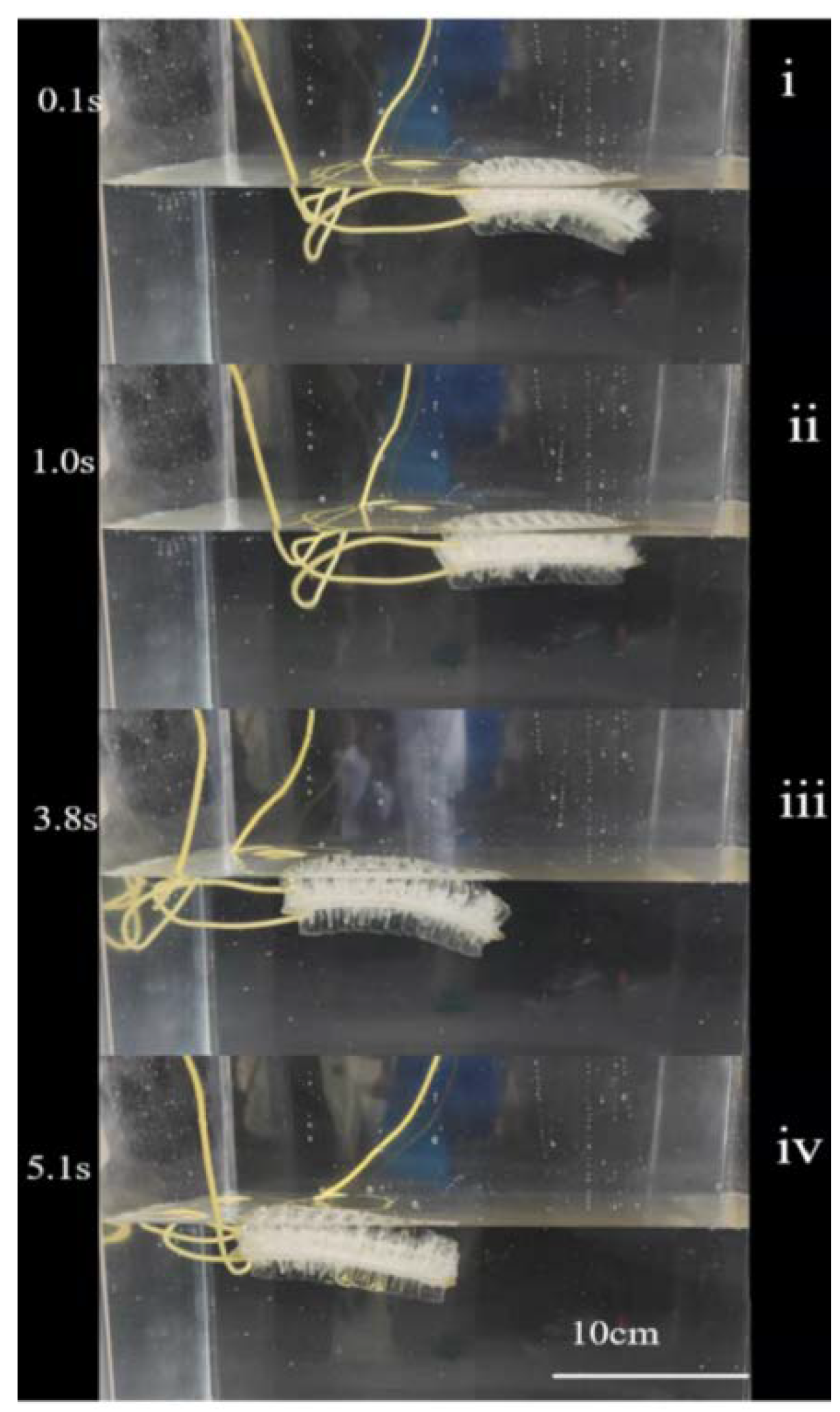 Micromachines 13 01779 g004