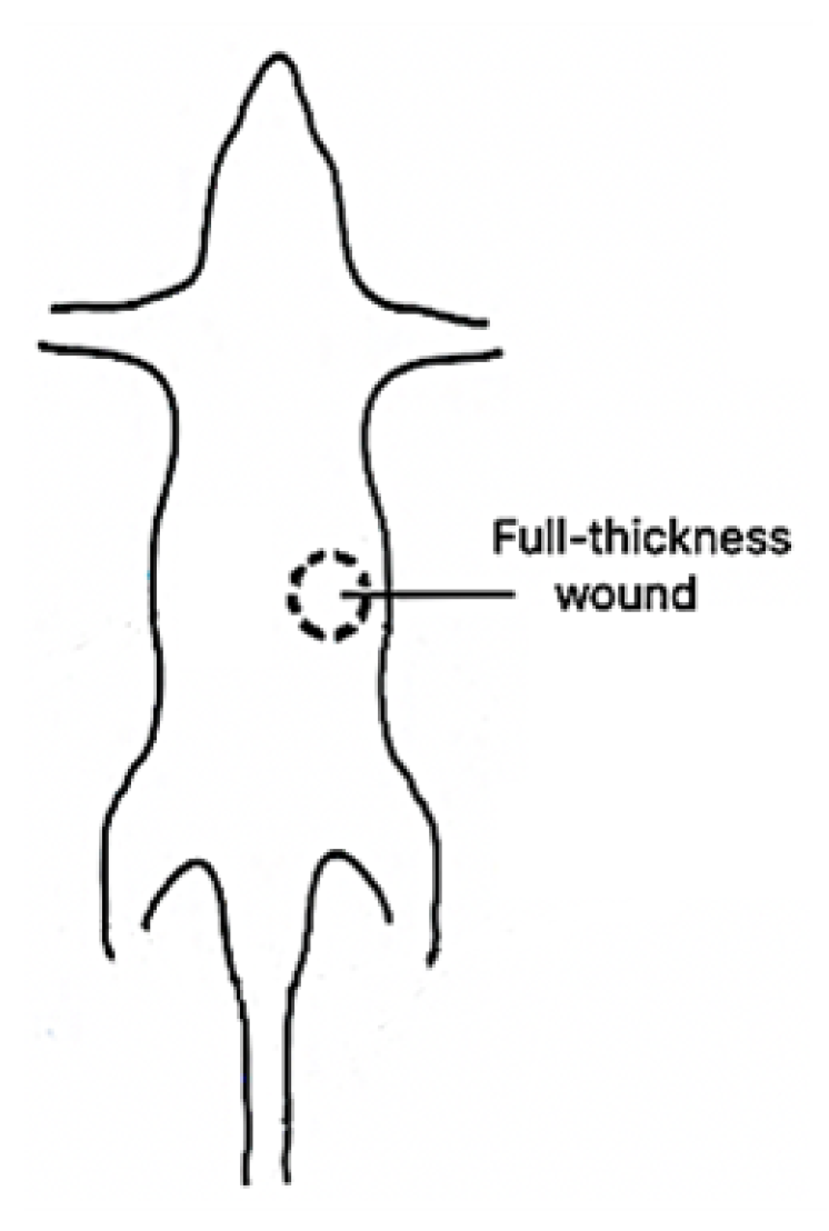 Micromachines 13 01788 g002 Micromachines 13 01788 g002