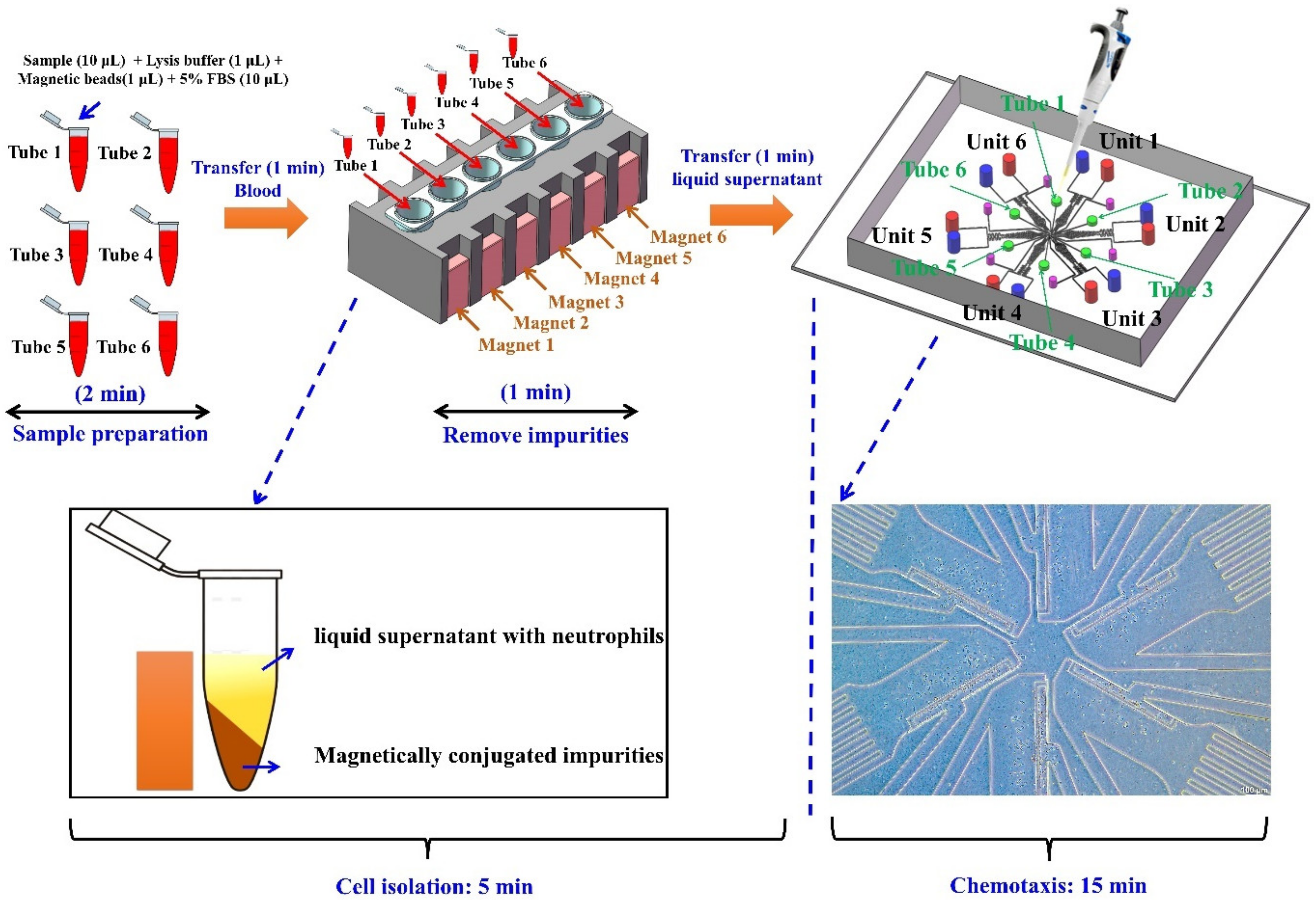 Micromachines 13 01820 g001