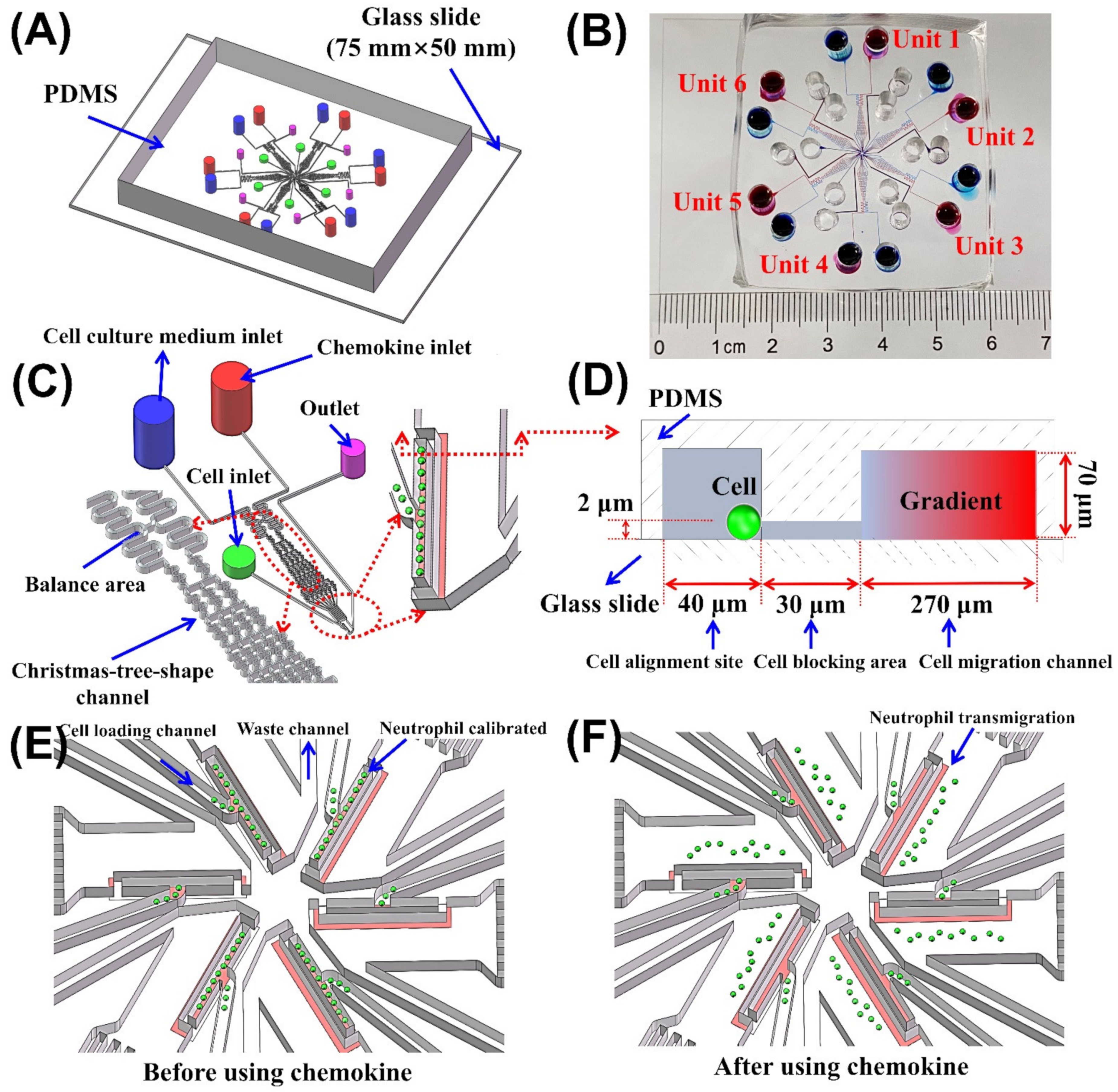 Micromachines 13 01820 g002