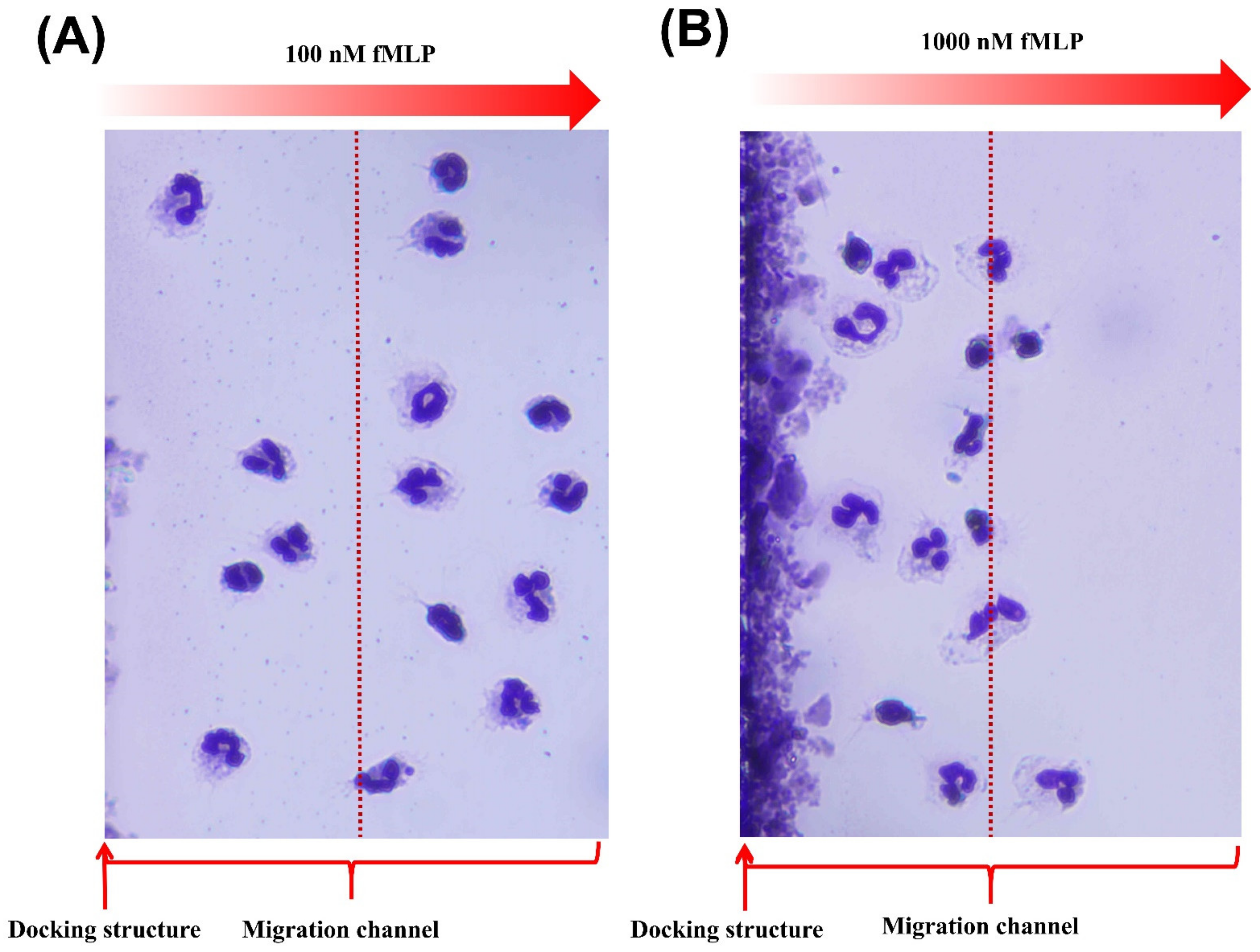 Micromachines 13 01820 g005