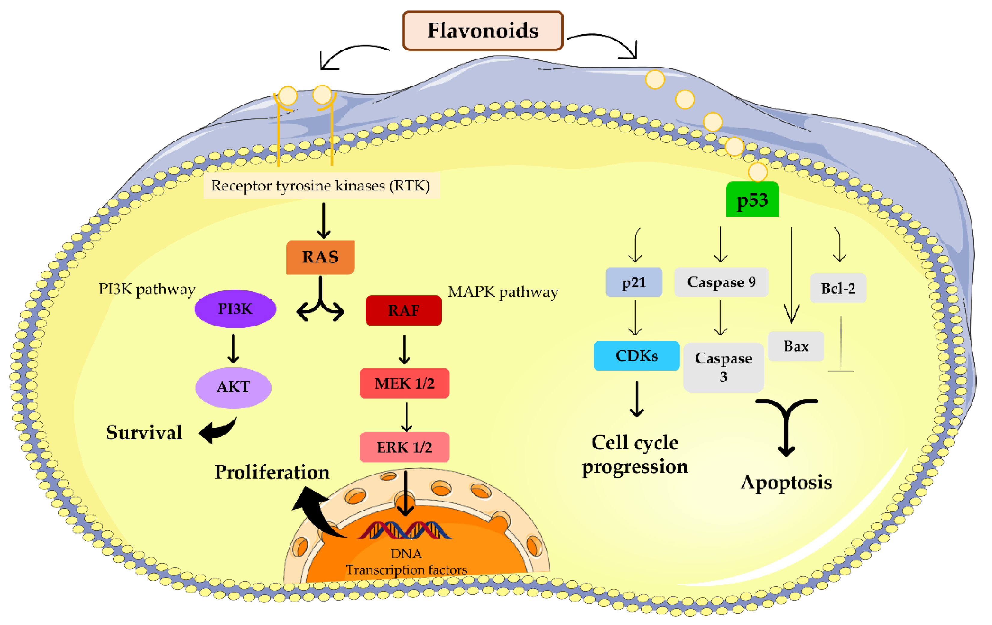 Micromachines 13 01838 g001 Micromachines 13 01838 g001