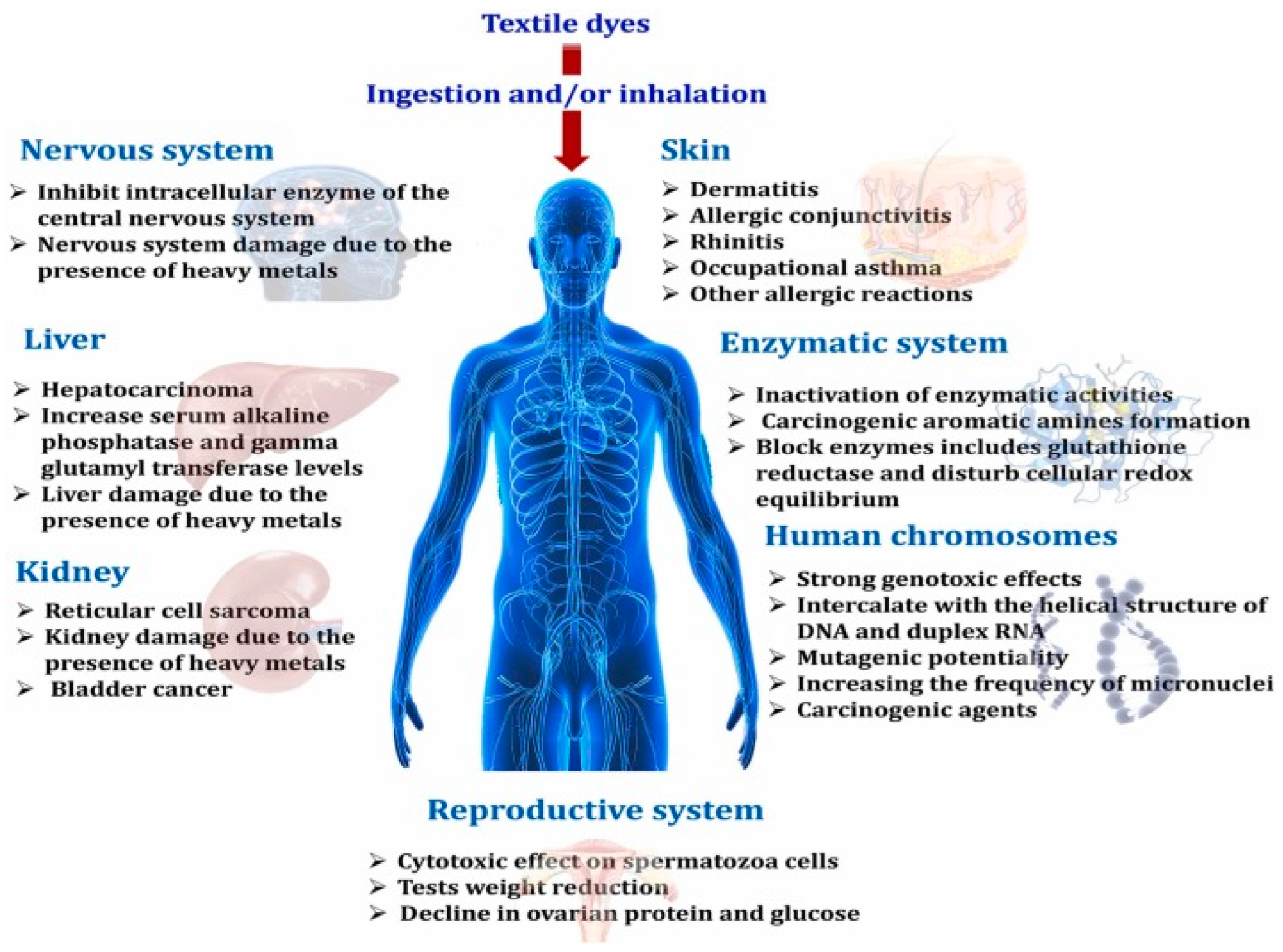 Micromachines 13 01840 g002