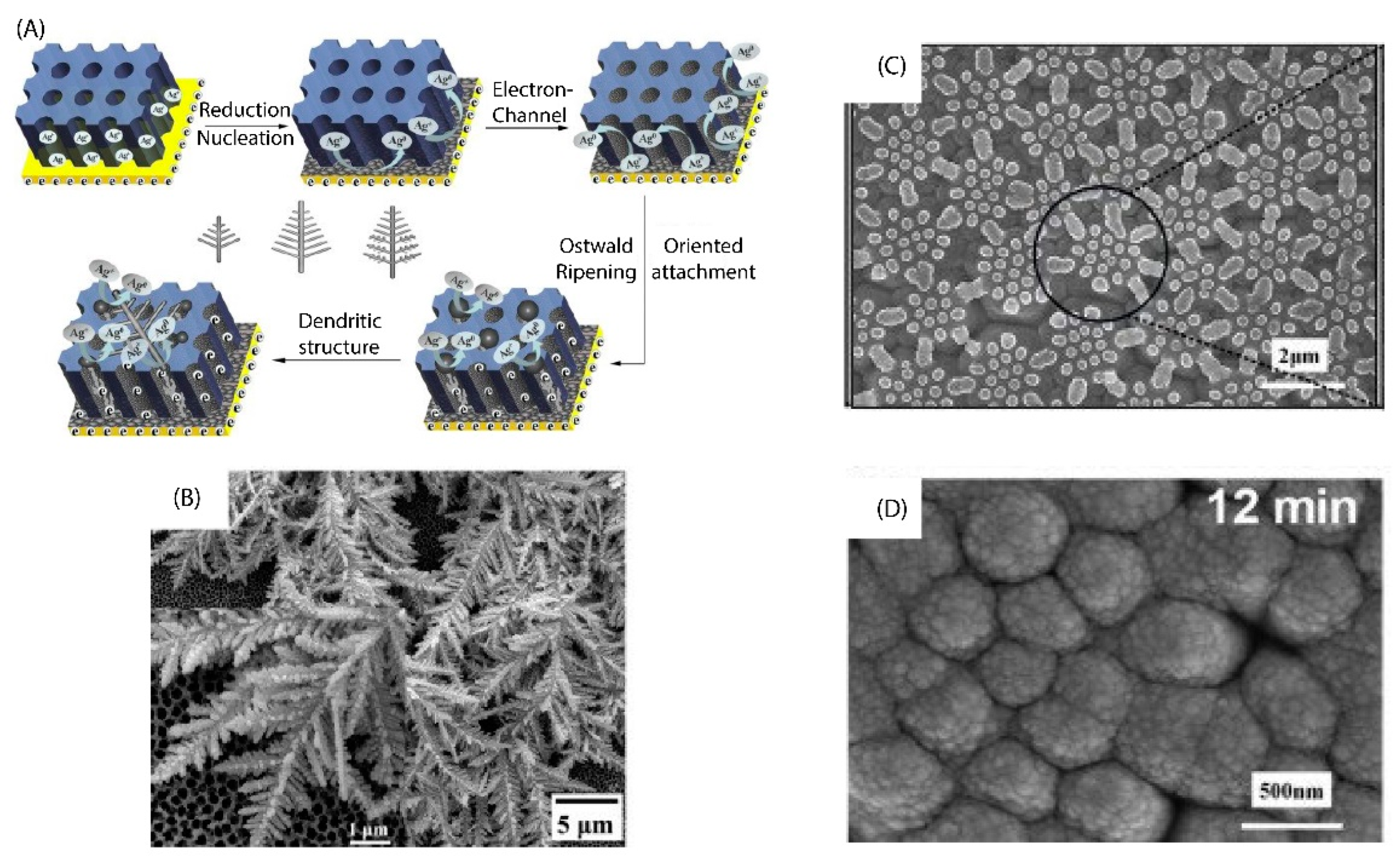 Micromachines 13 01840 g007