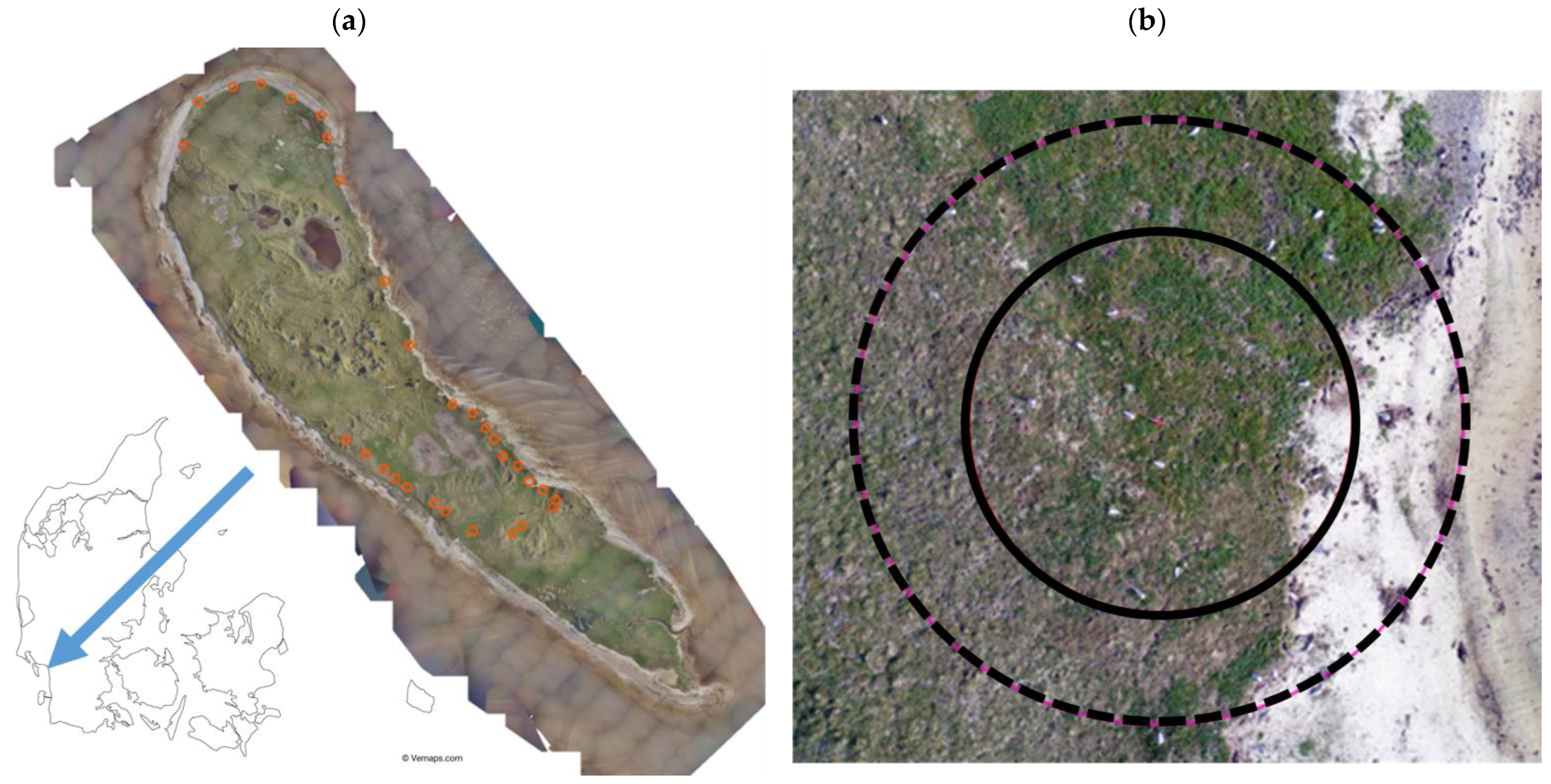 Micromachines 13 01844 g001