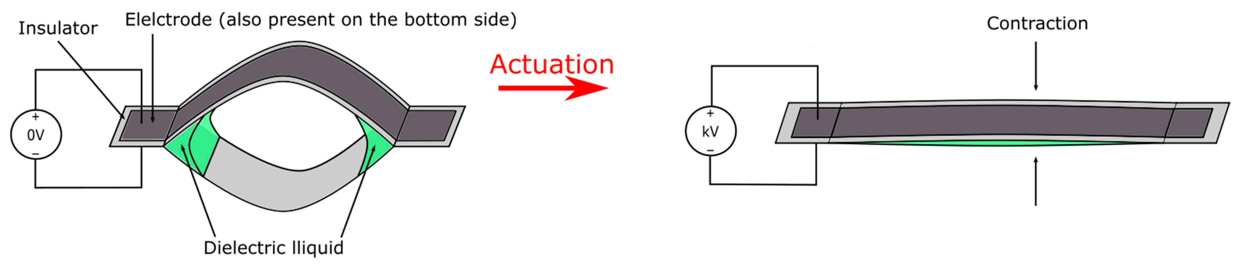 Micromachines 13 01881 g005