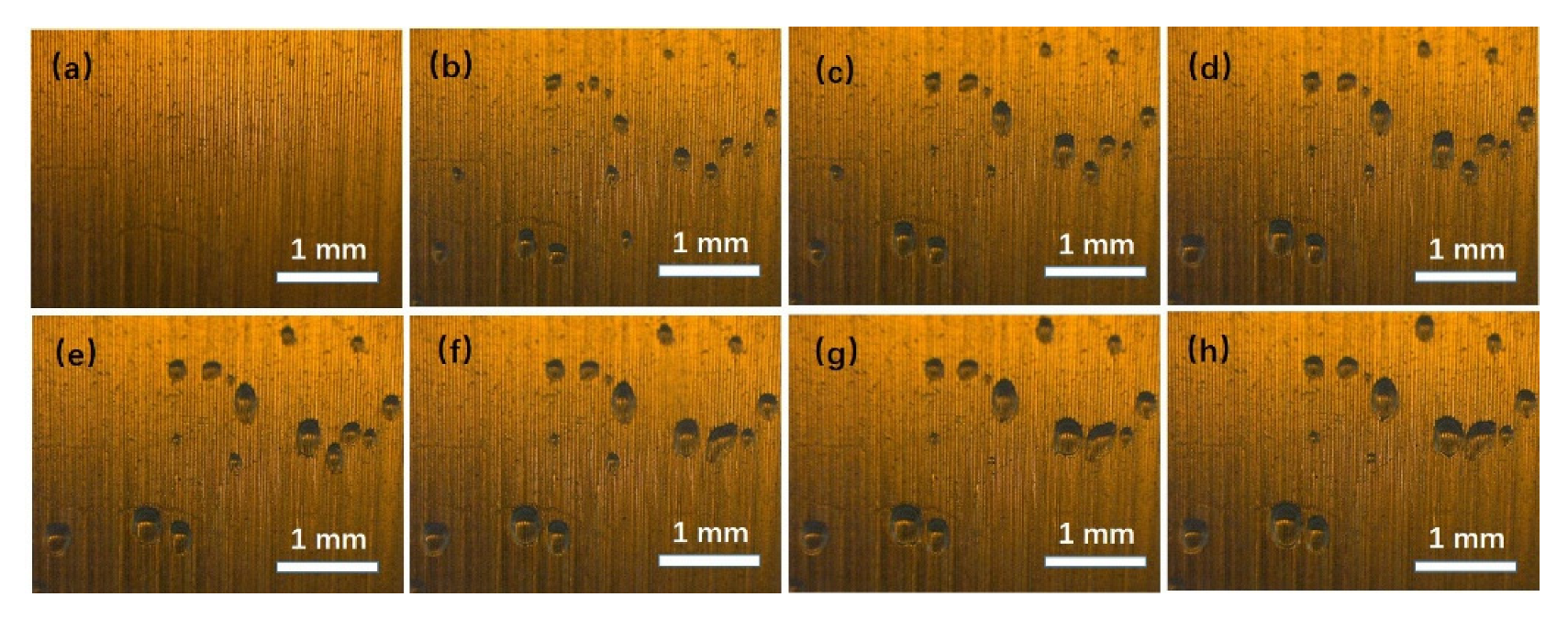 Micromachines 13 01893 g003