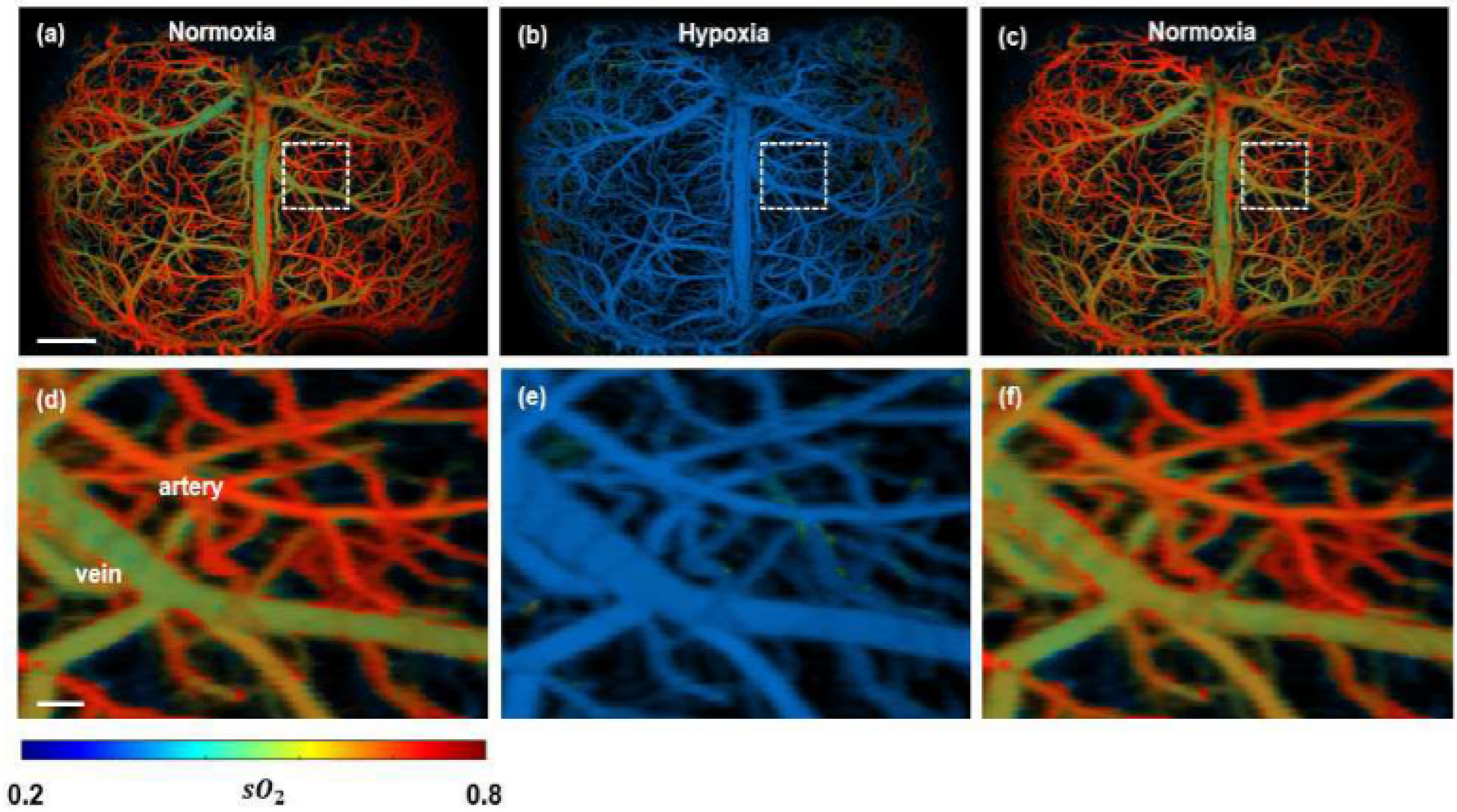 Micromachines 13 01900 g007