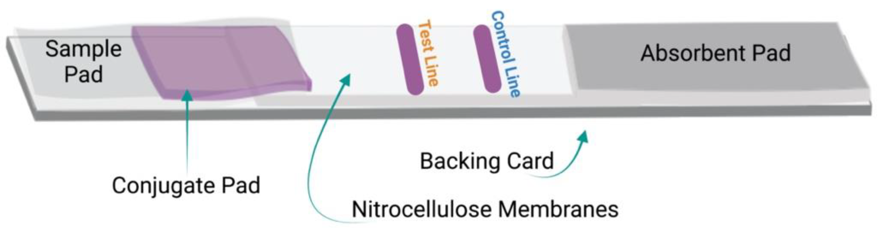 Micromachines 13 01901 g001