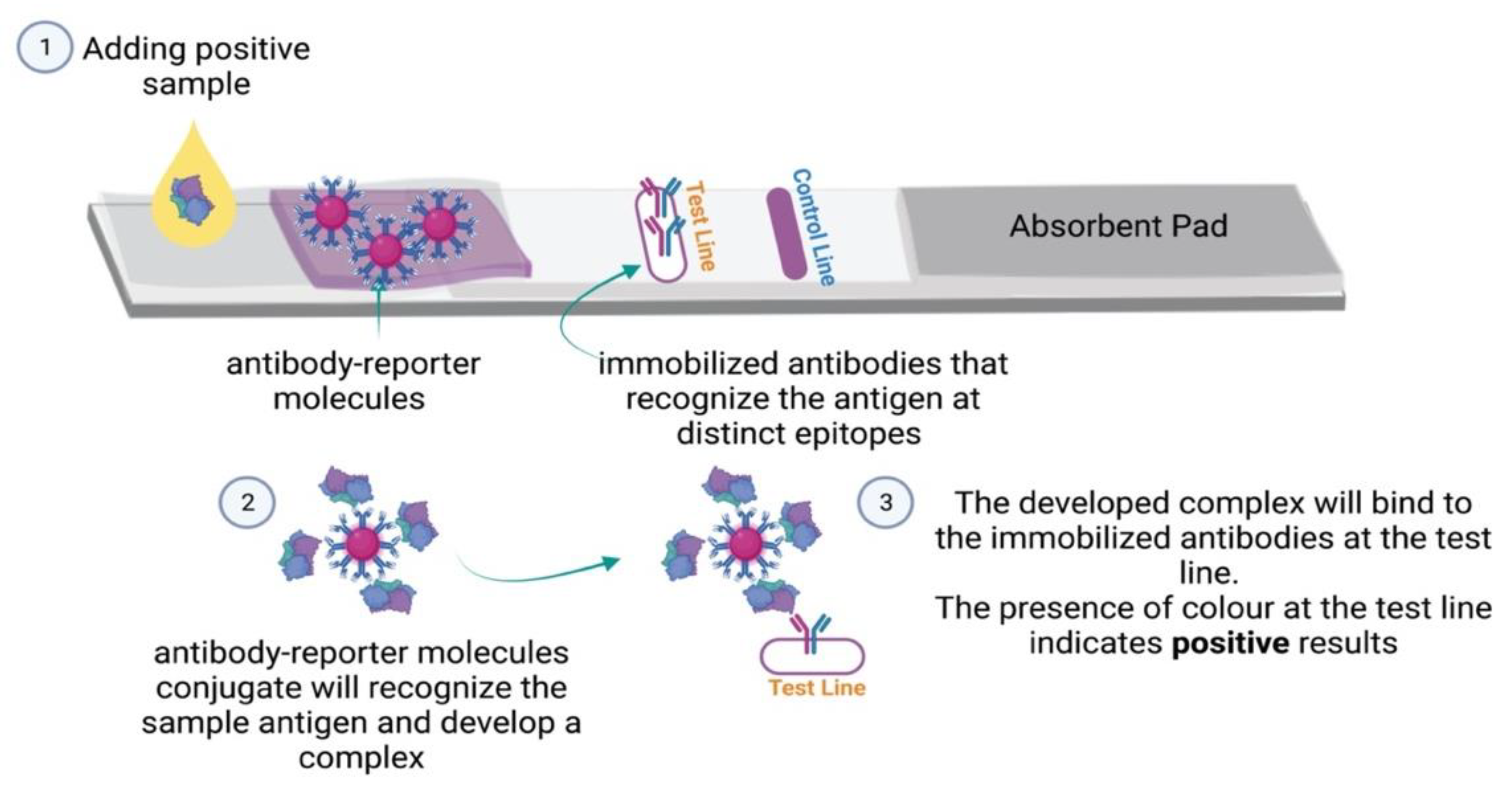 Micromachines 13 01901 g004