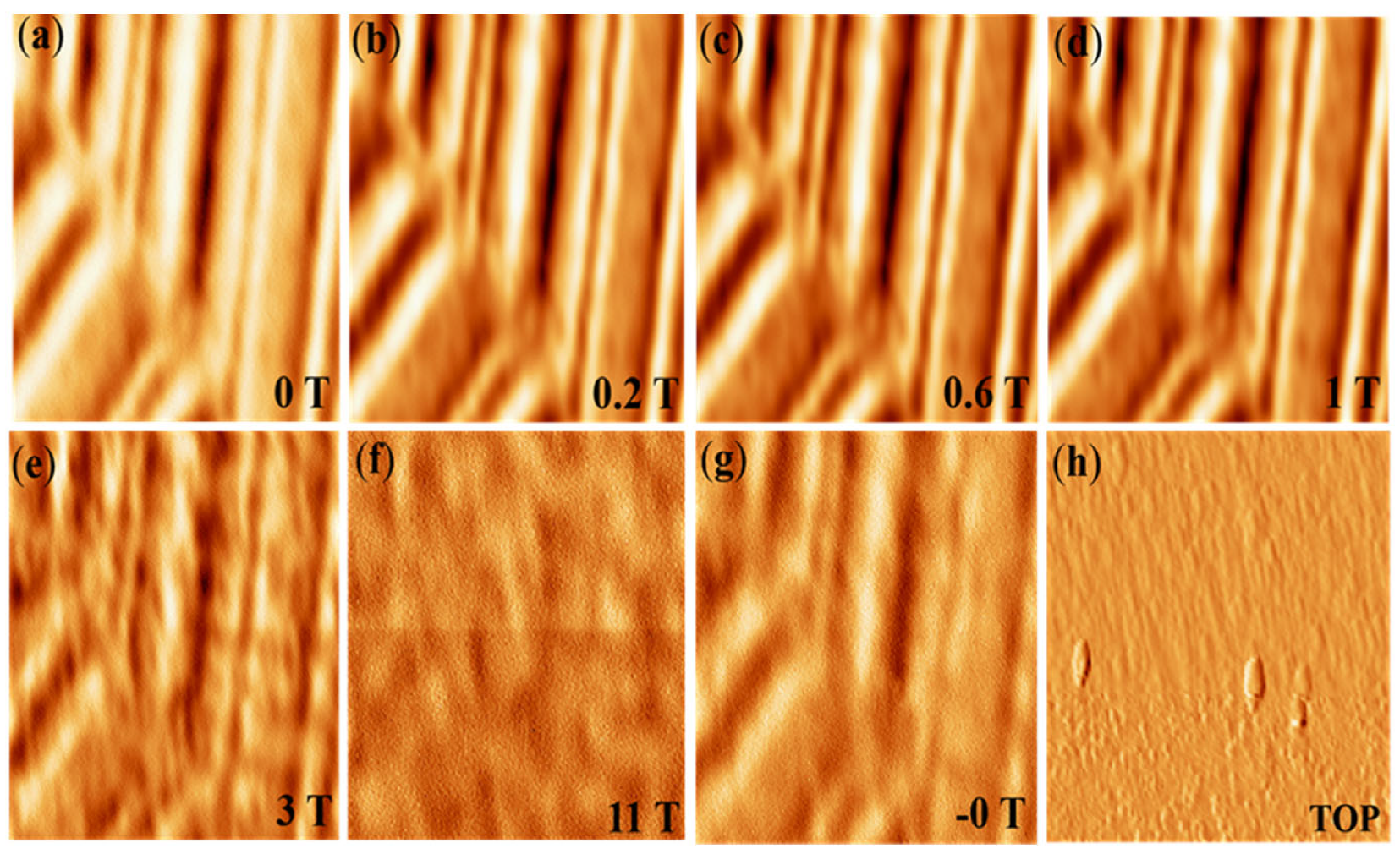 Micromachines 13 01922 g005