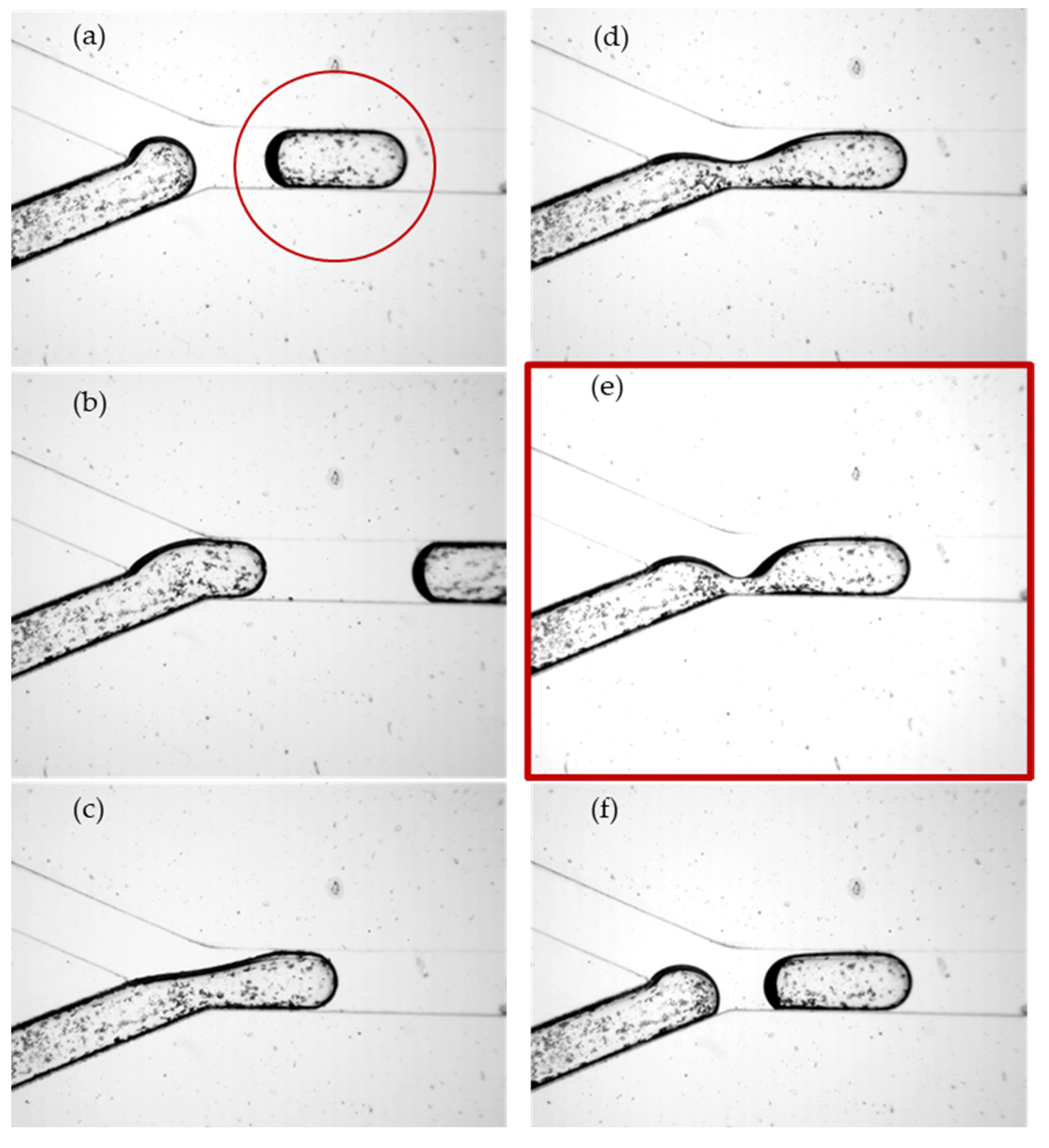 Micromachines 13 01941 g006 Micromachines 13 01941 g006