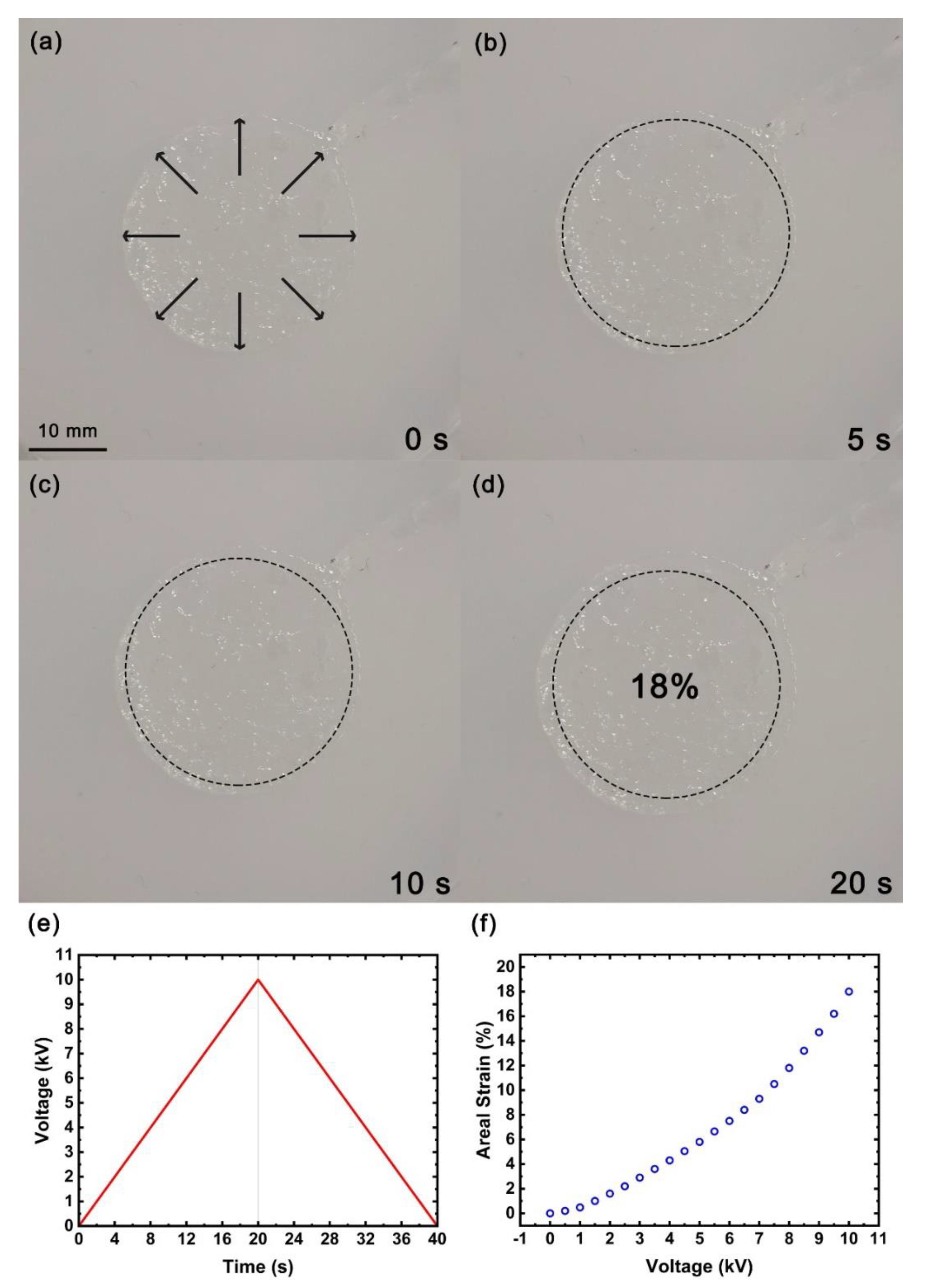 Micromachines 13 01951 g008 Micromachines 13 01951 g008