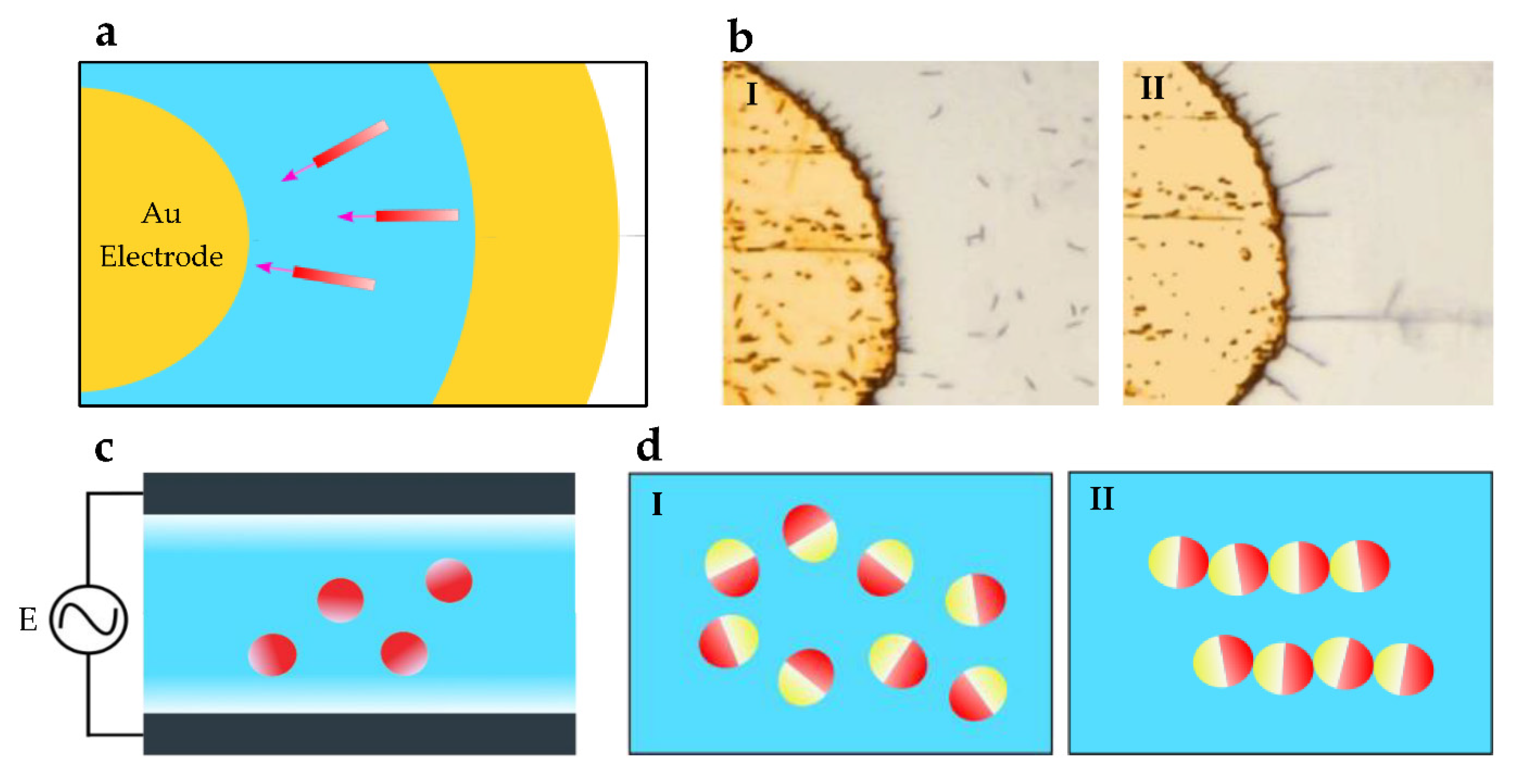 Micromachines 13 01987 g003