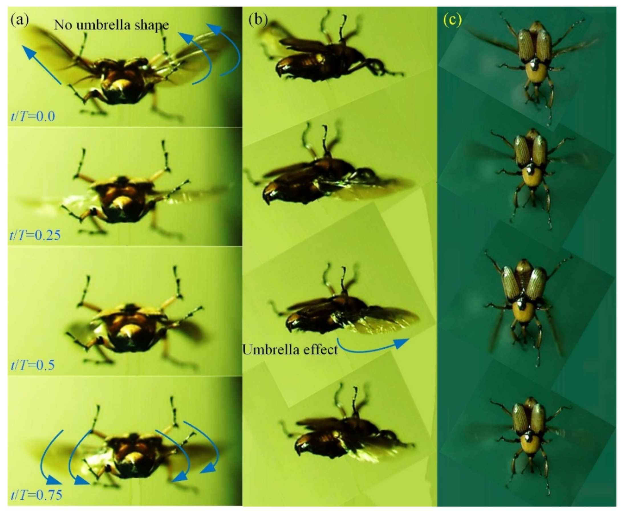 Micromachines 13 01995 g002