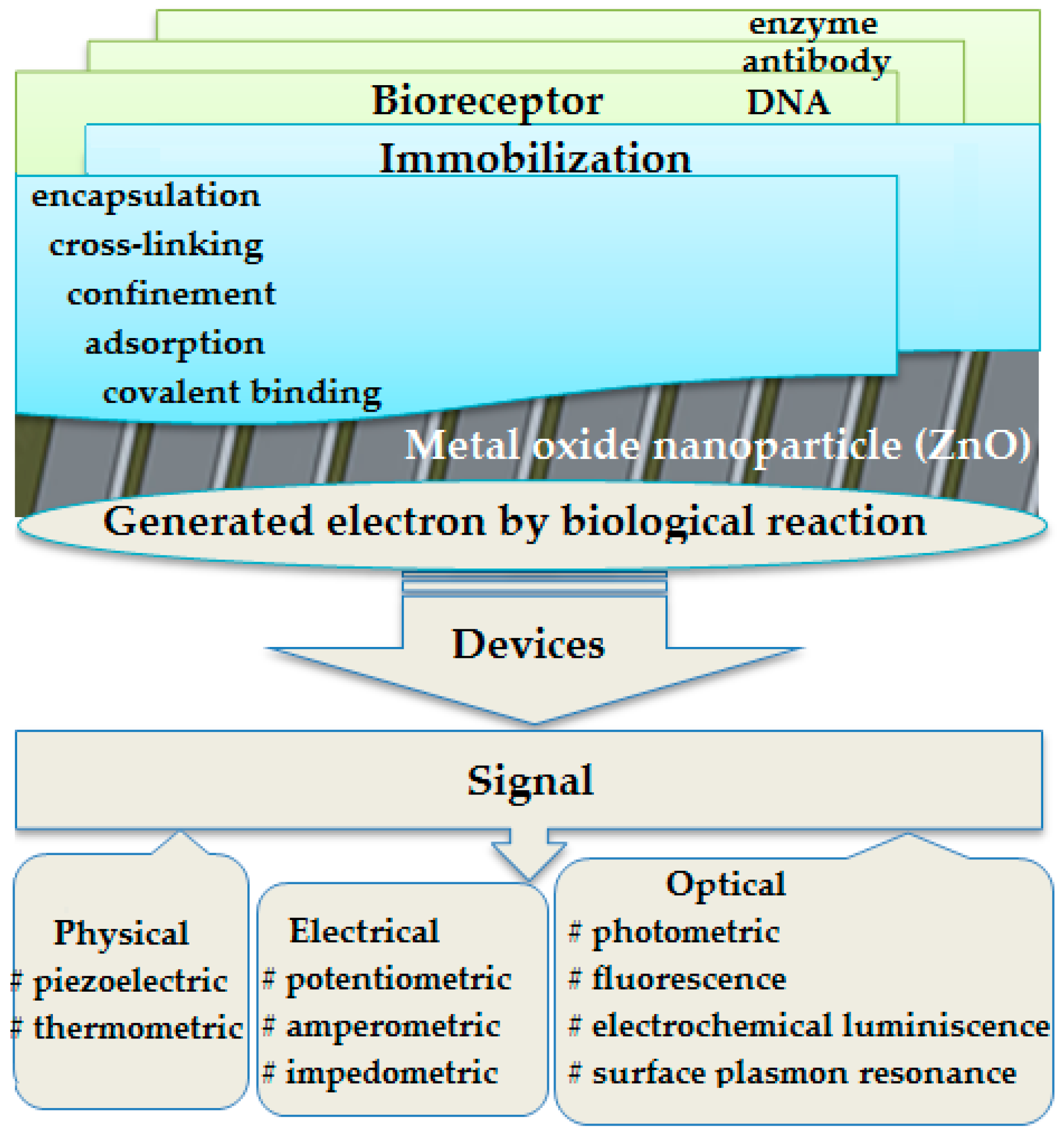 Micromachines 13 01997 g001