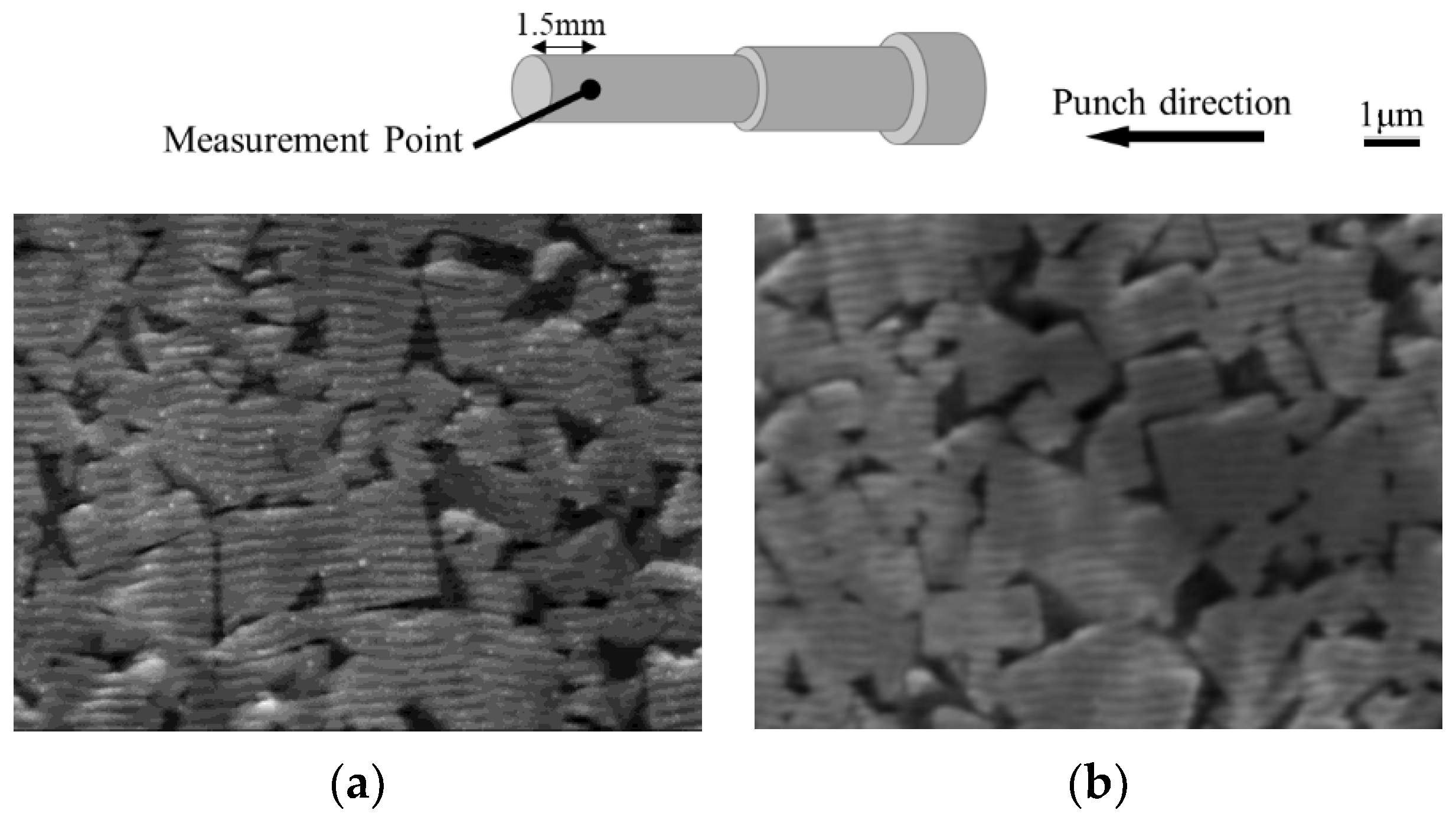 Micromachines 13 02001 g011
