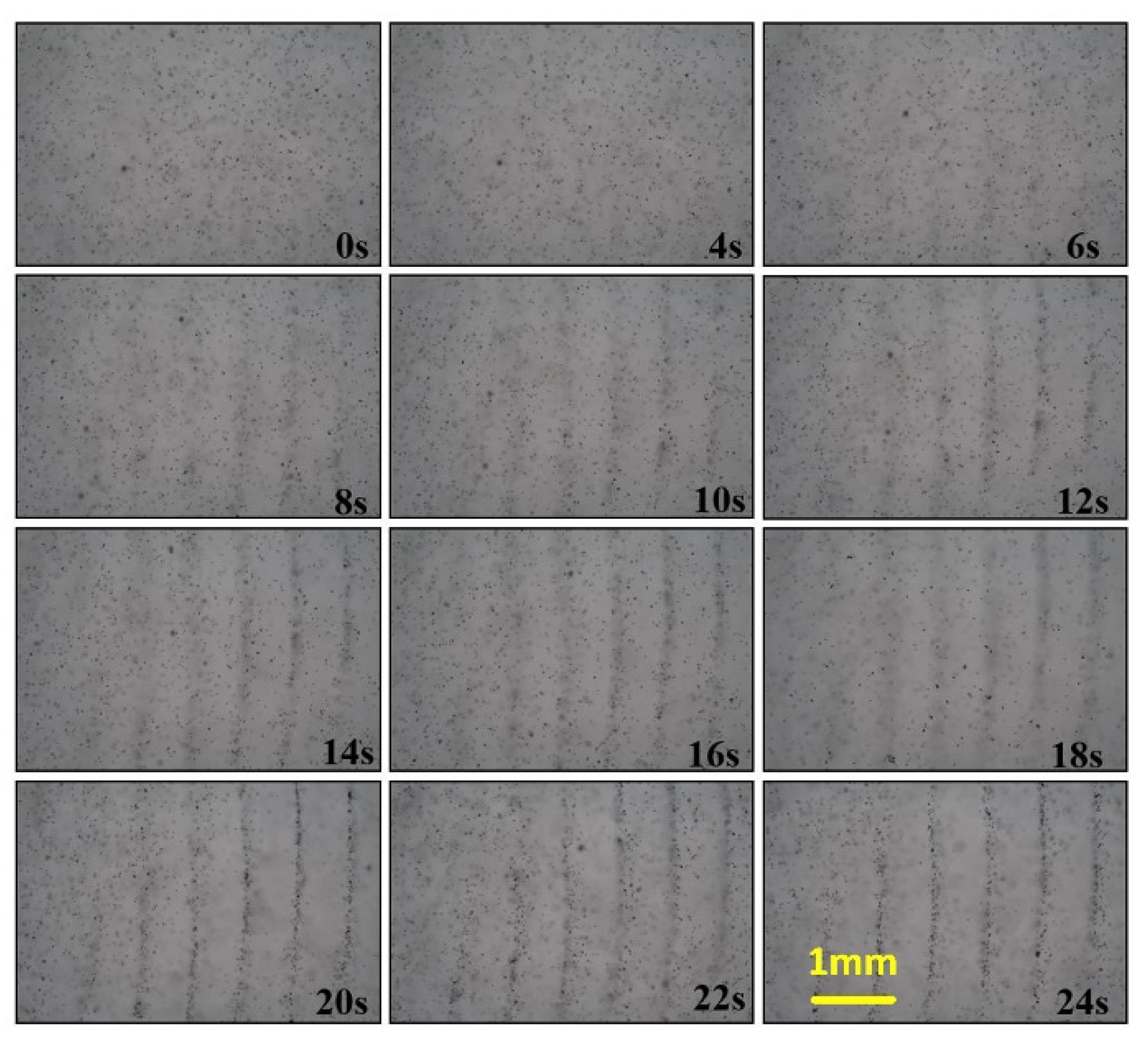 Micromachines 13 02003 g009