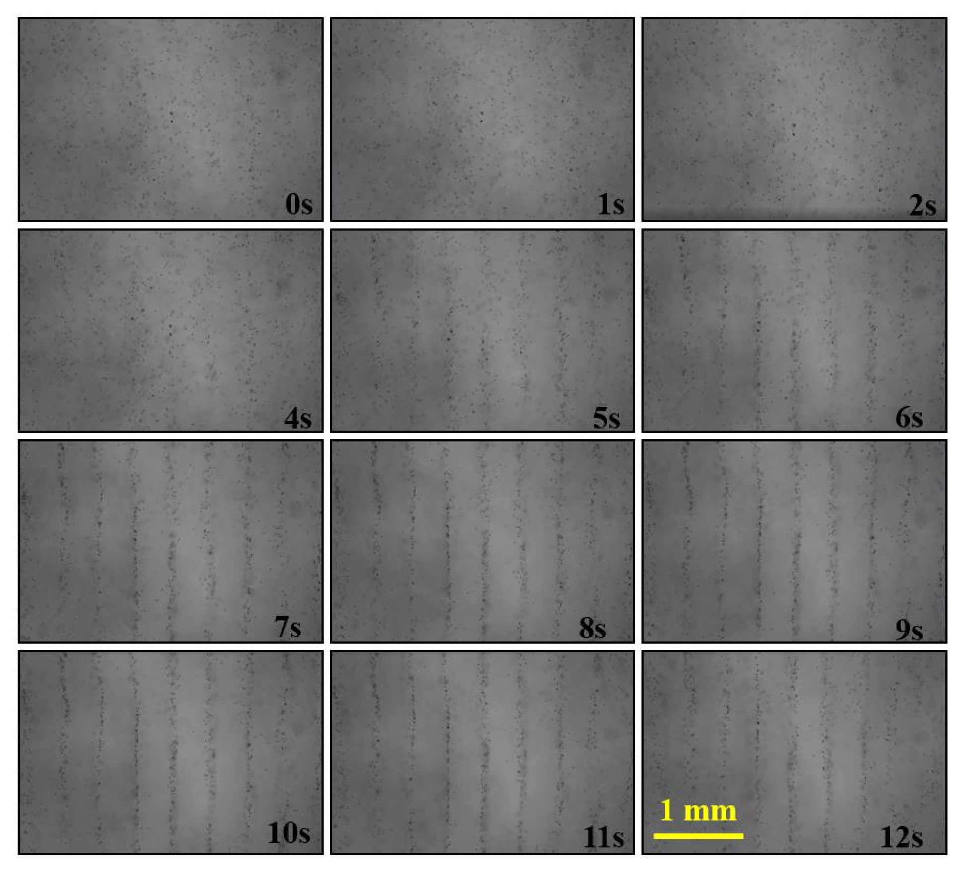 Micromachines 13 02003 g010