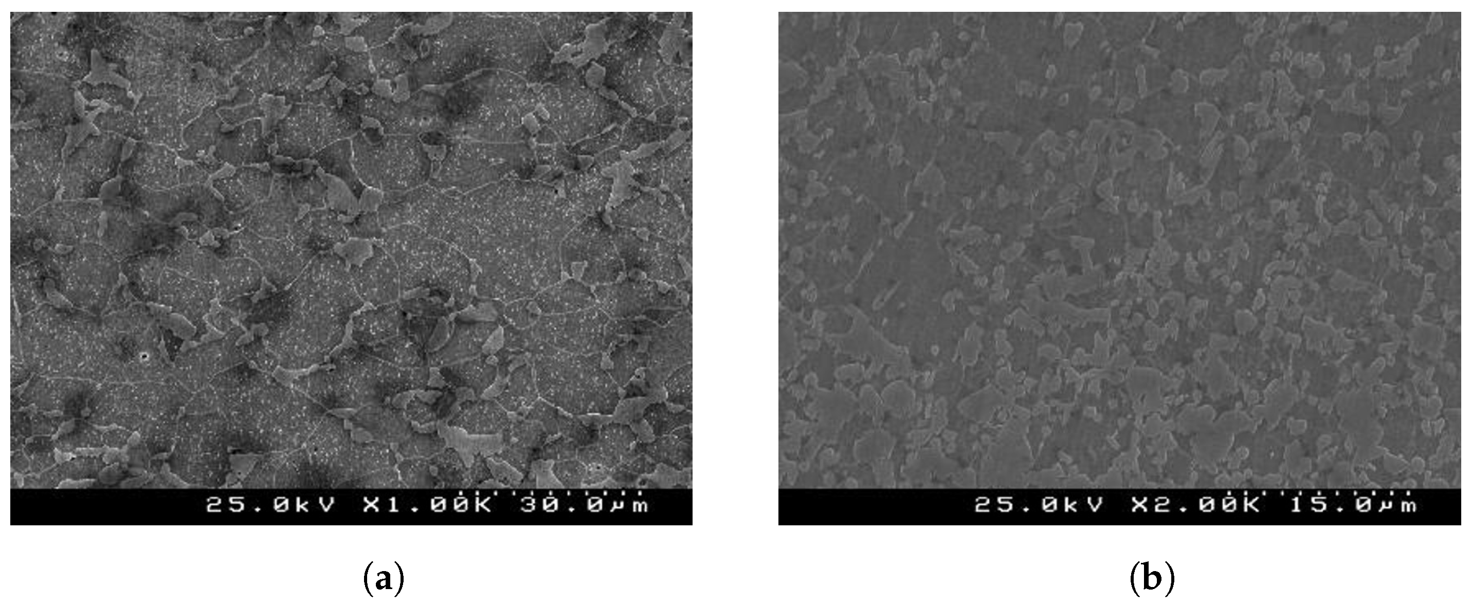 Micromachines 13 02027 g001