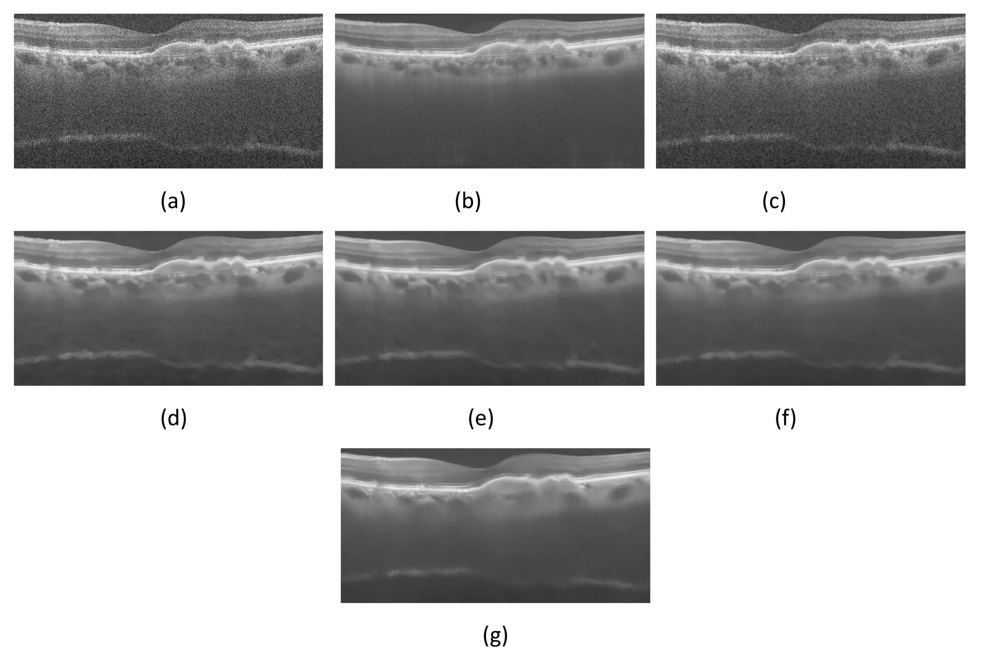 Micromachines 13 02039 g002