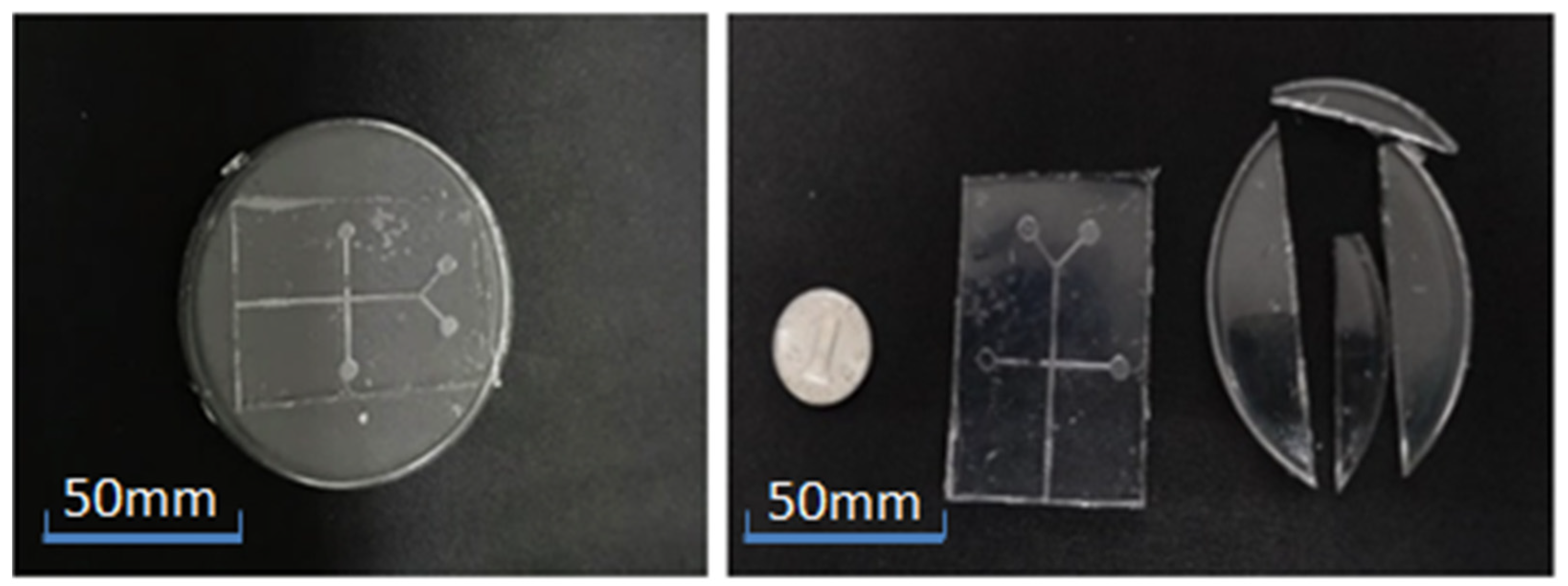 Micromachines 13 02050 g006