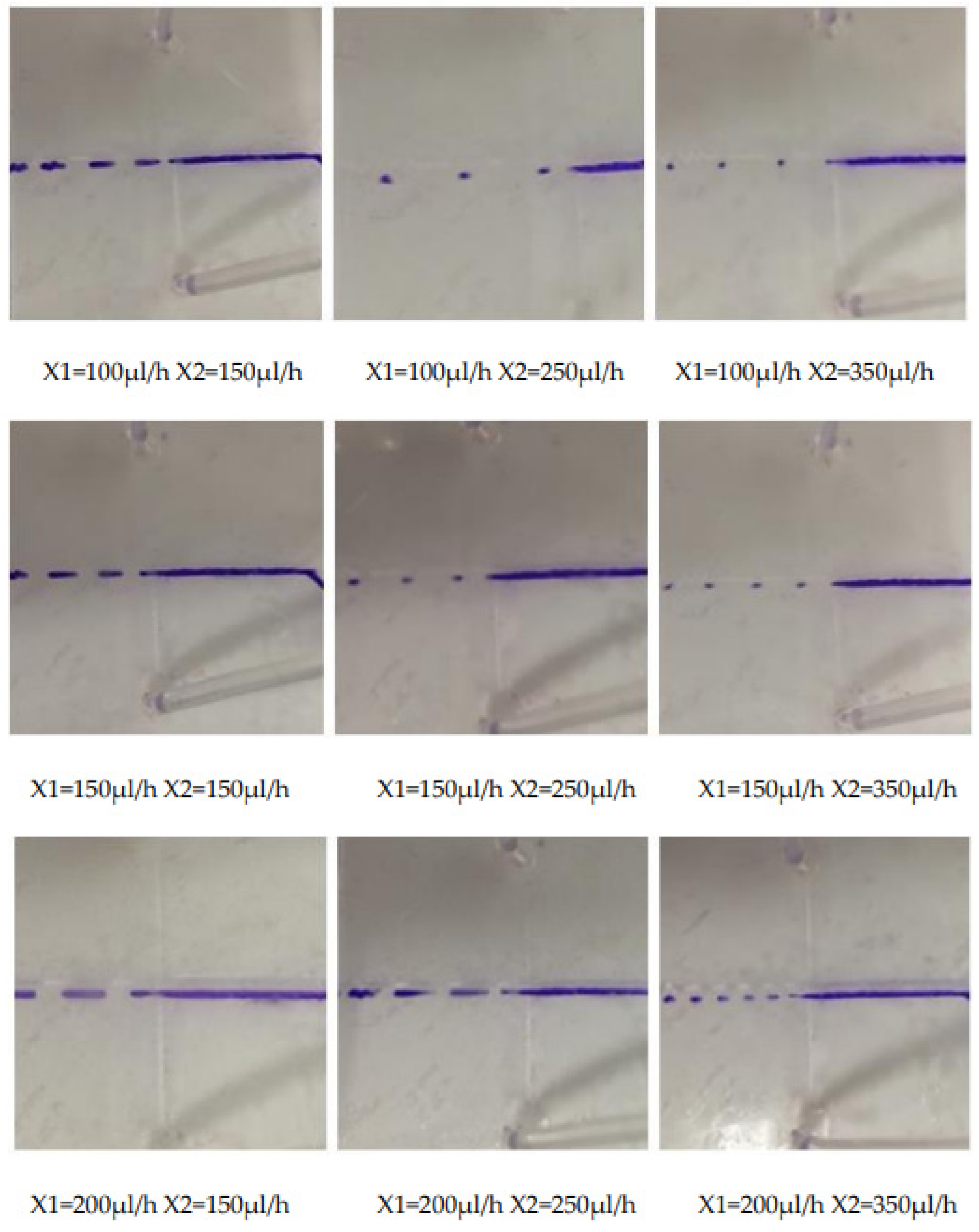 Micromachines 13 02050 g010