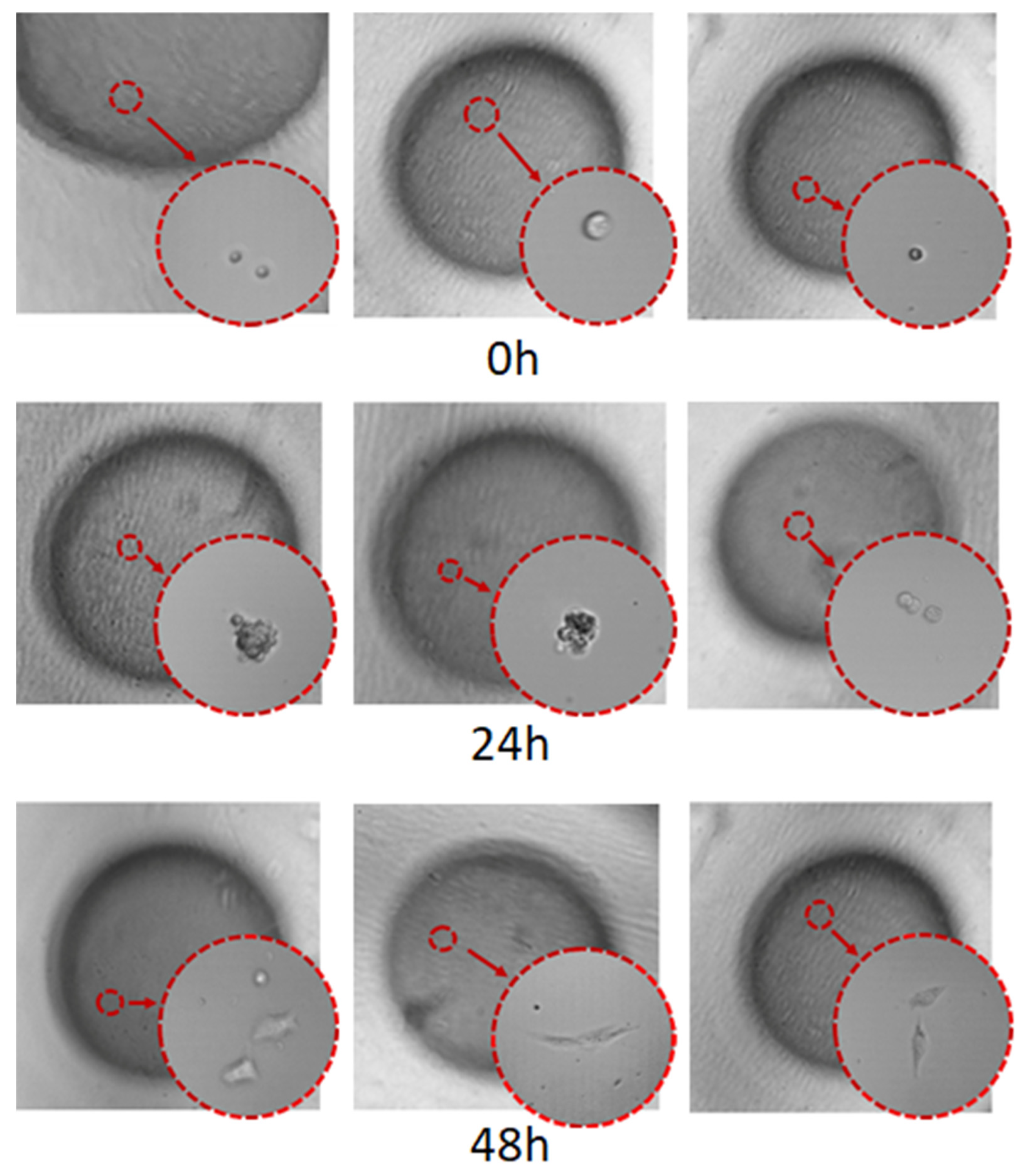 Micromachines 13 02050 g015