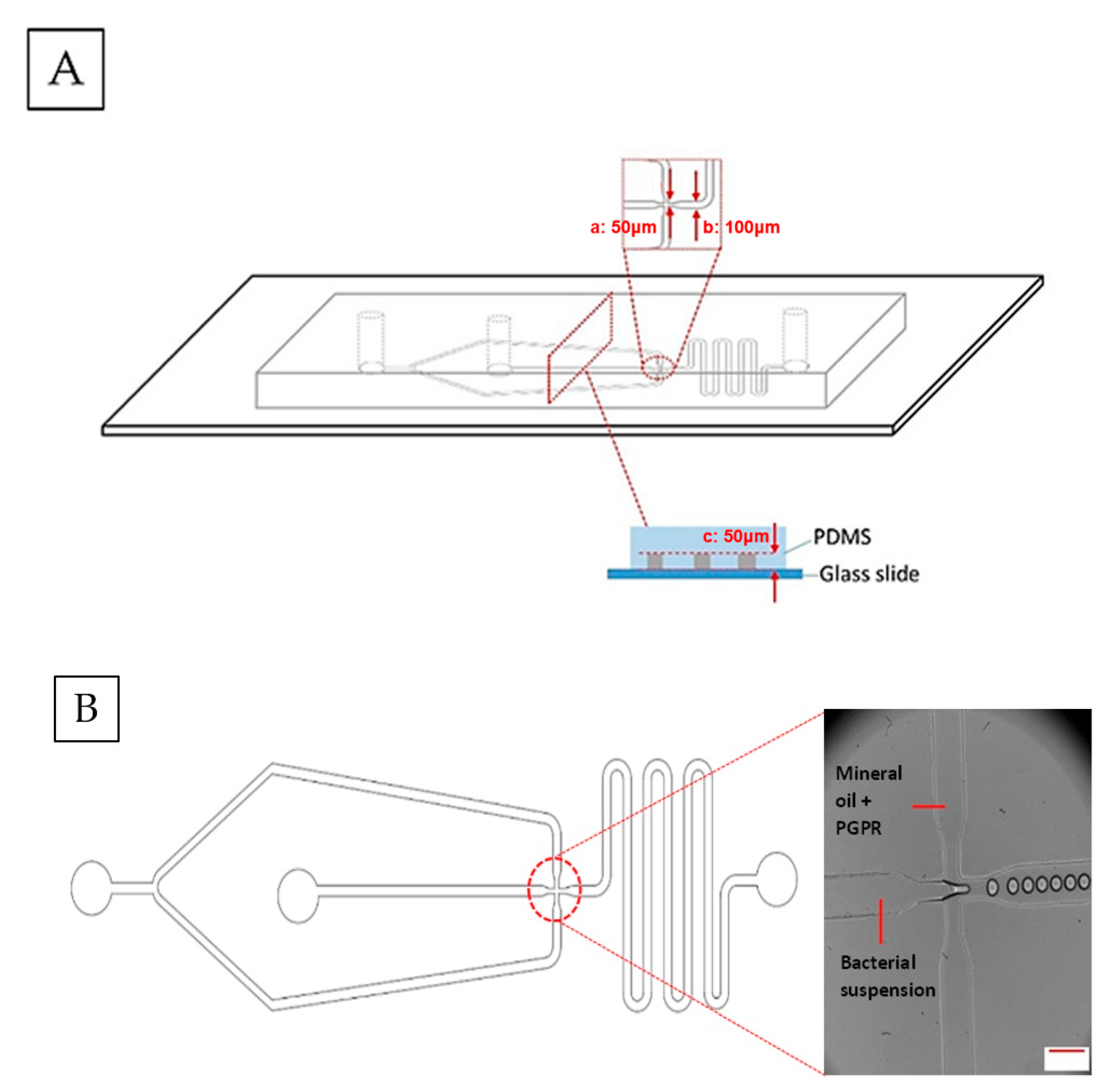 Micromachines 13 02067 g001