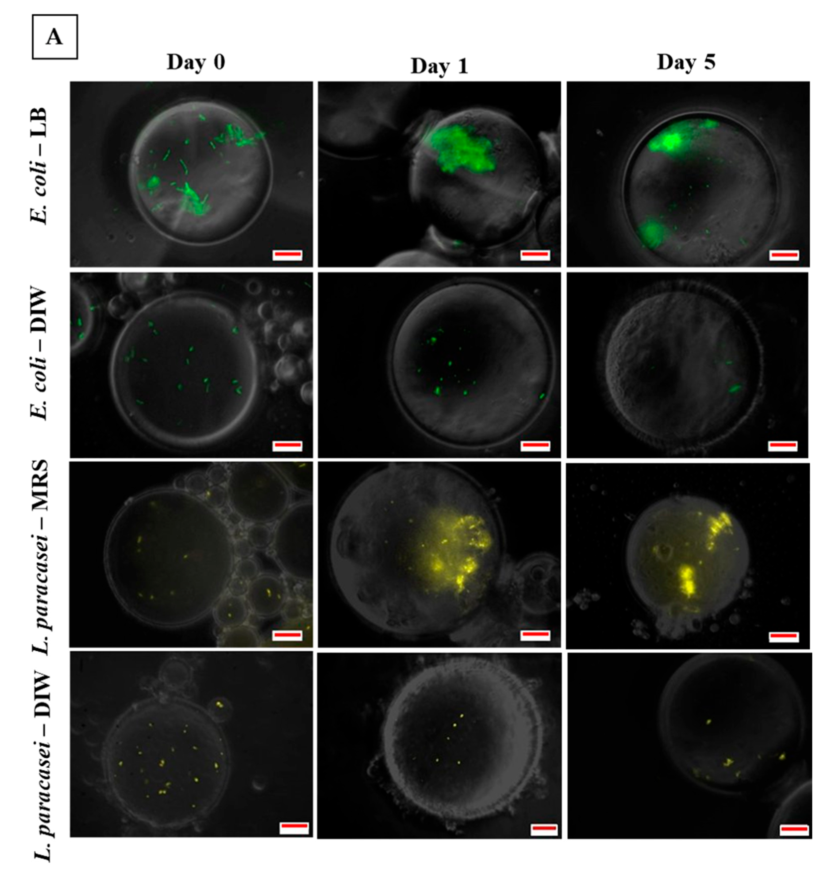 Micromachines 13 02067 g004a