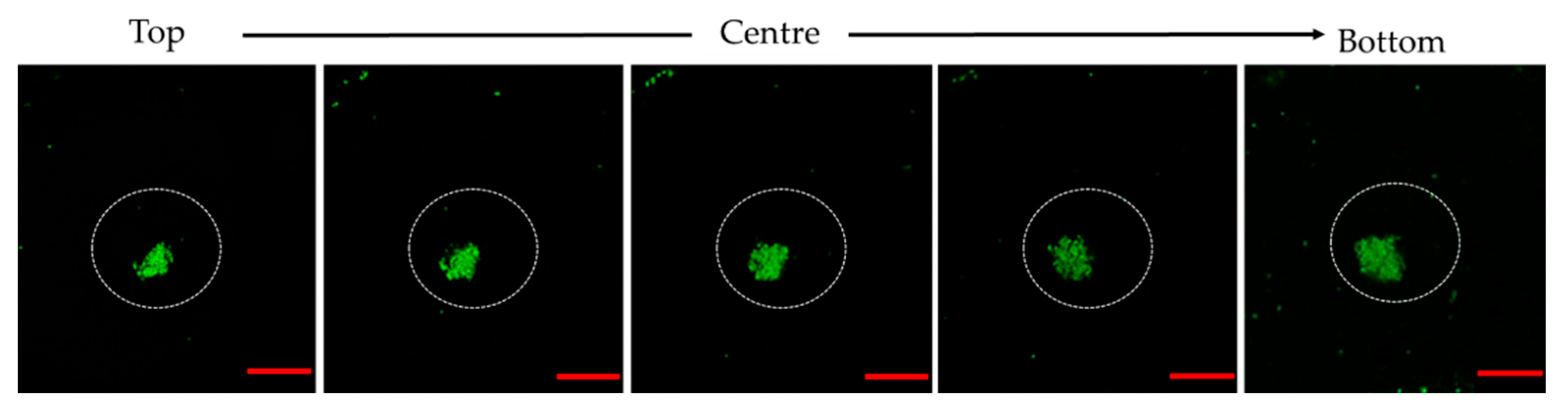 Micromachines 13 02067 g007