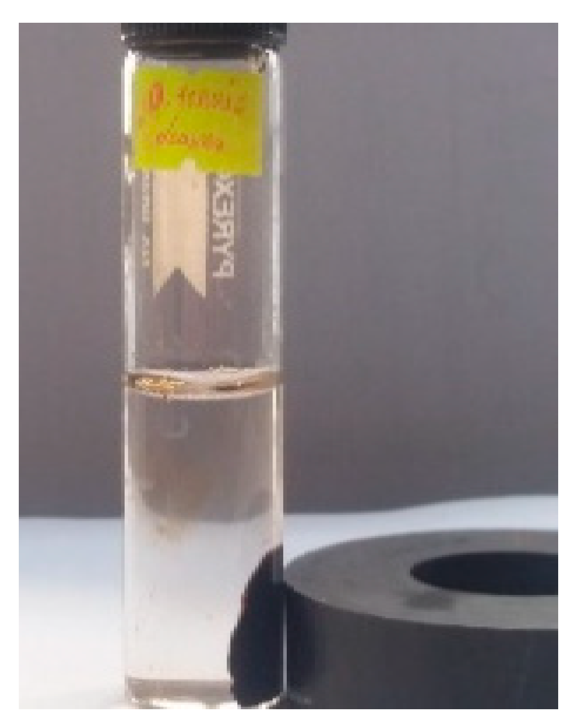 Micromachines 13 02077 g001