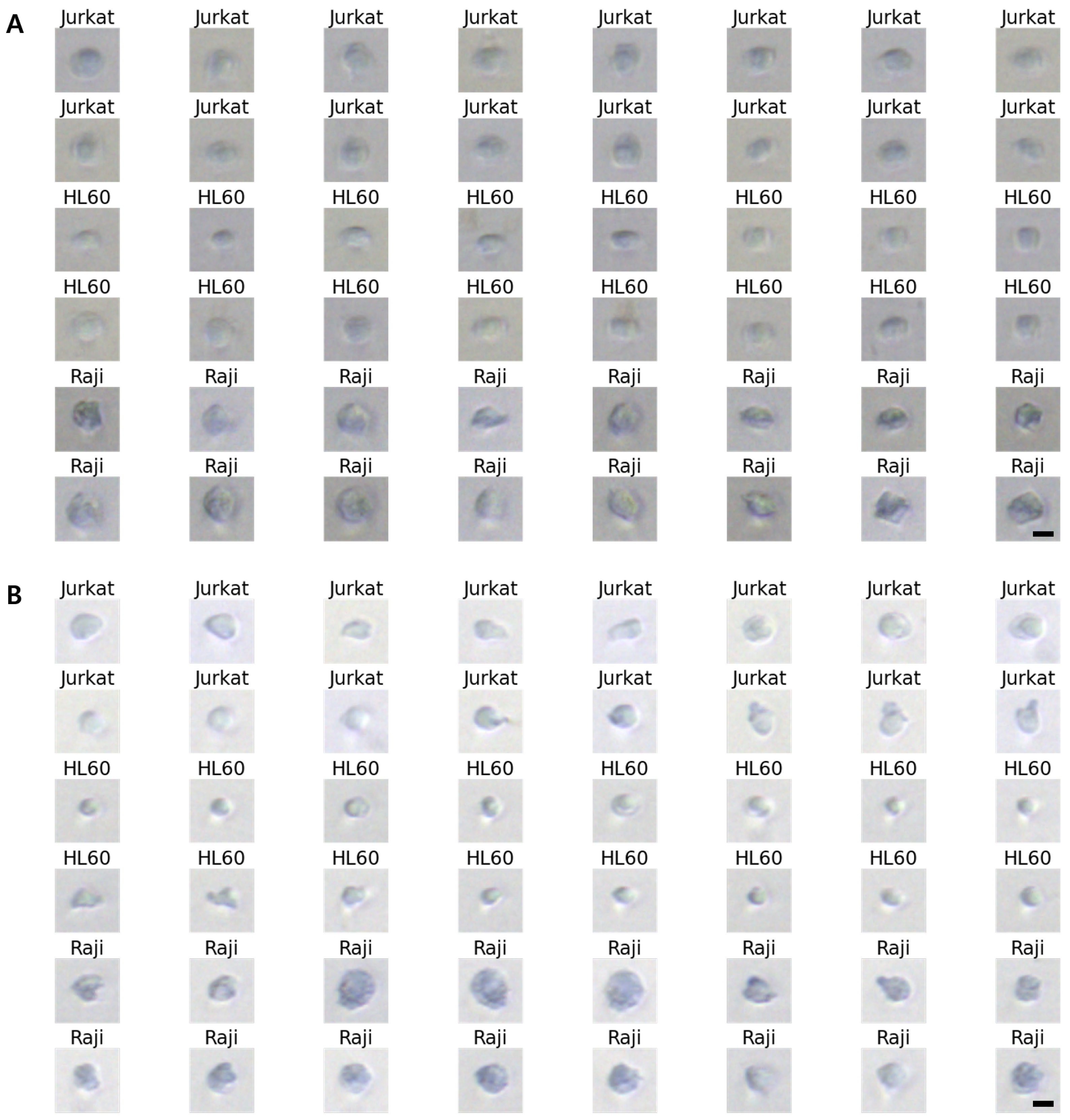 Micromachines 13 02105 g005