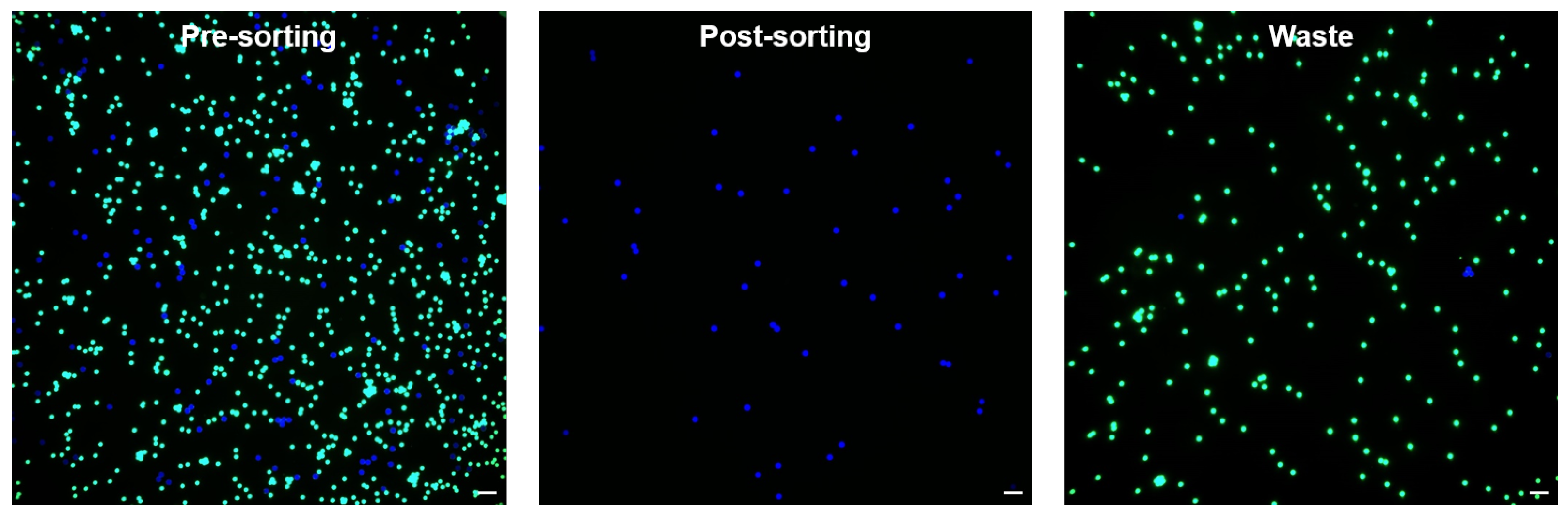 Micromachines 13 02105 g006