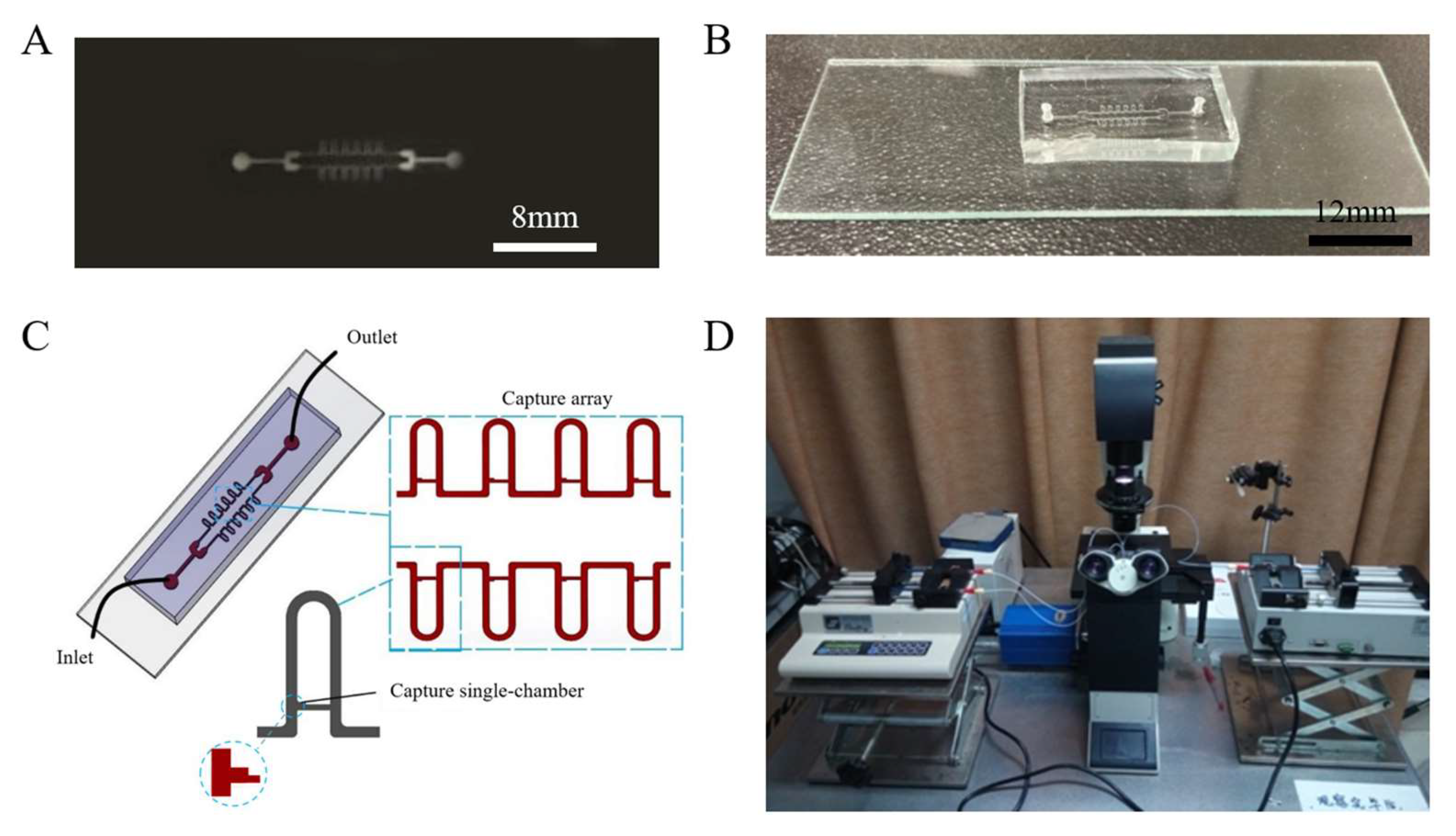 Micromachines 13 02109 g001