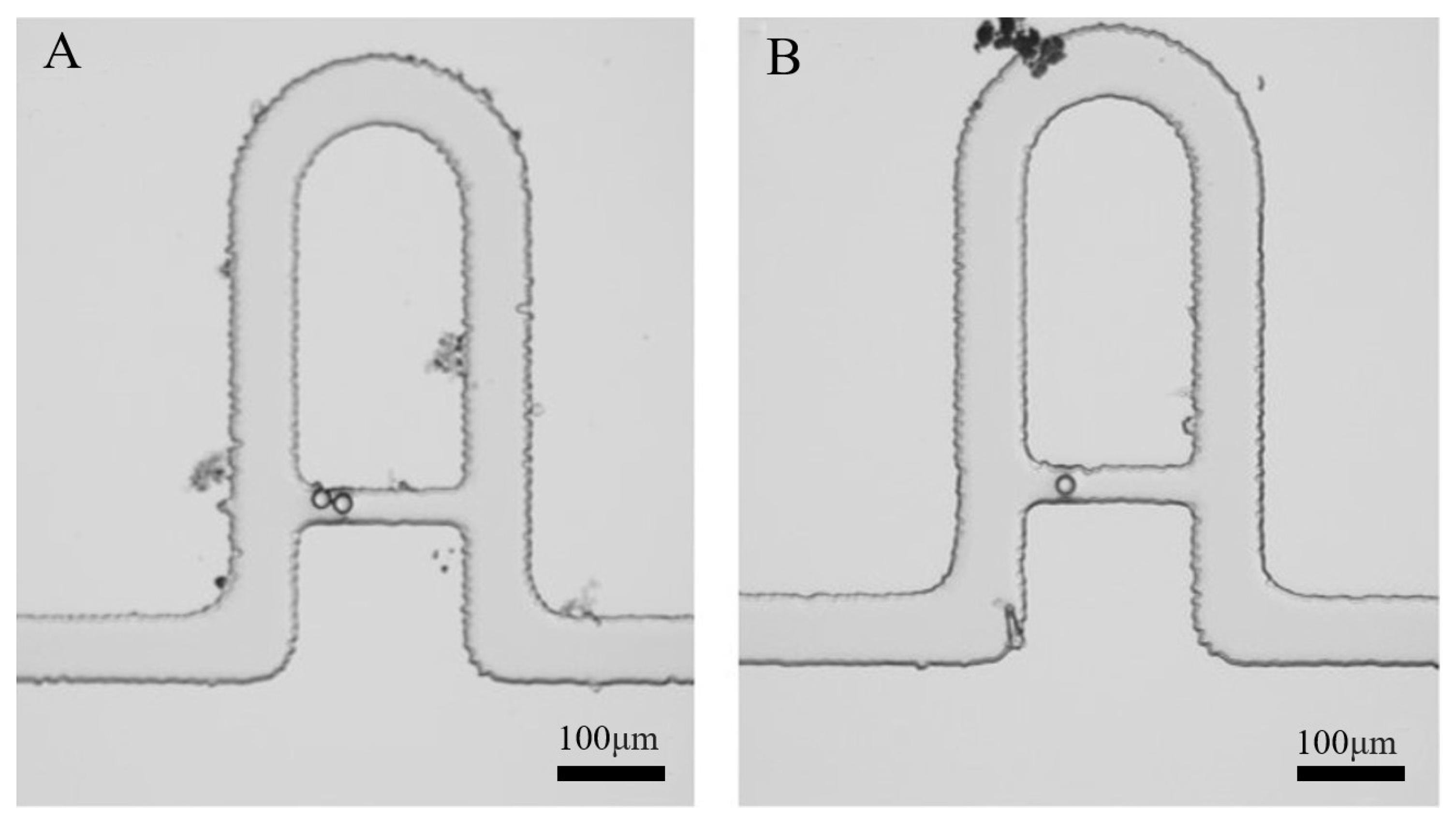 Micromachines 13 02109 g004