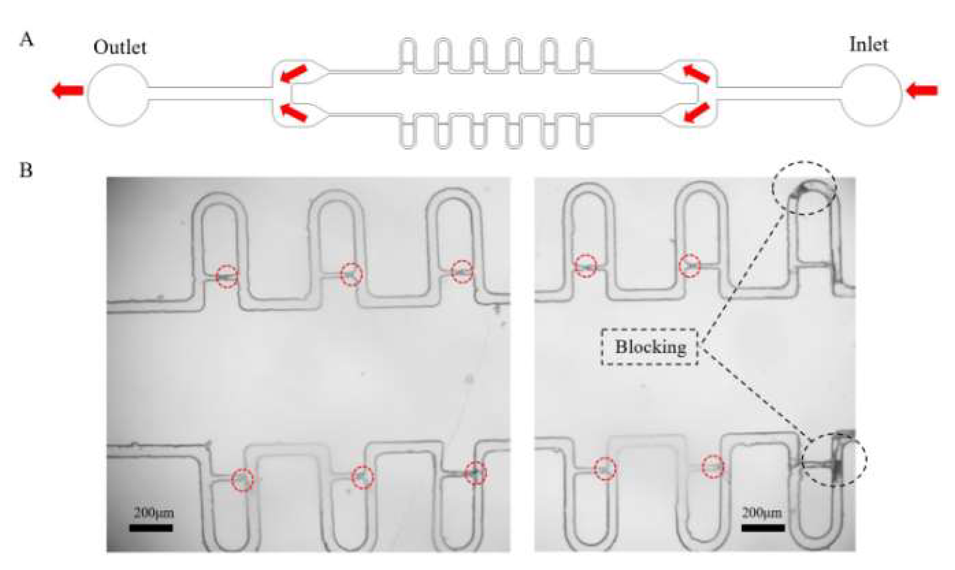 Micromachines 13 02109 g005