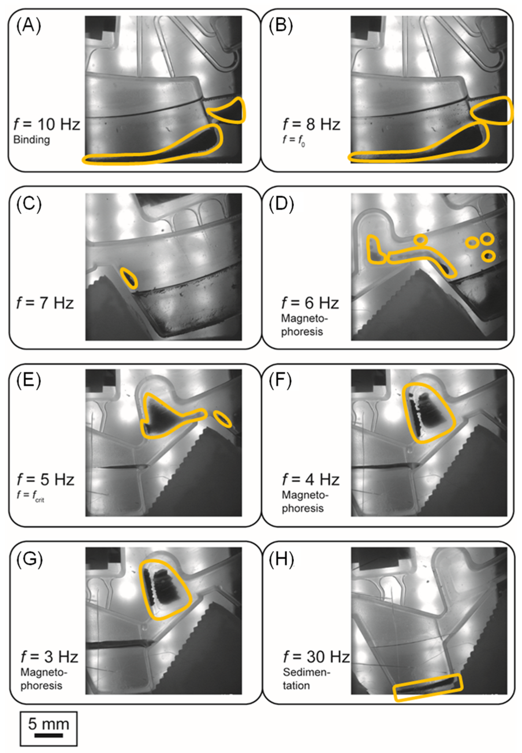 Micromachines 13 02112 g007