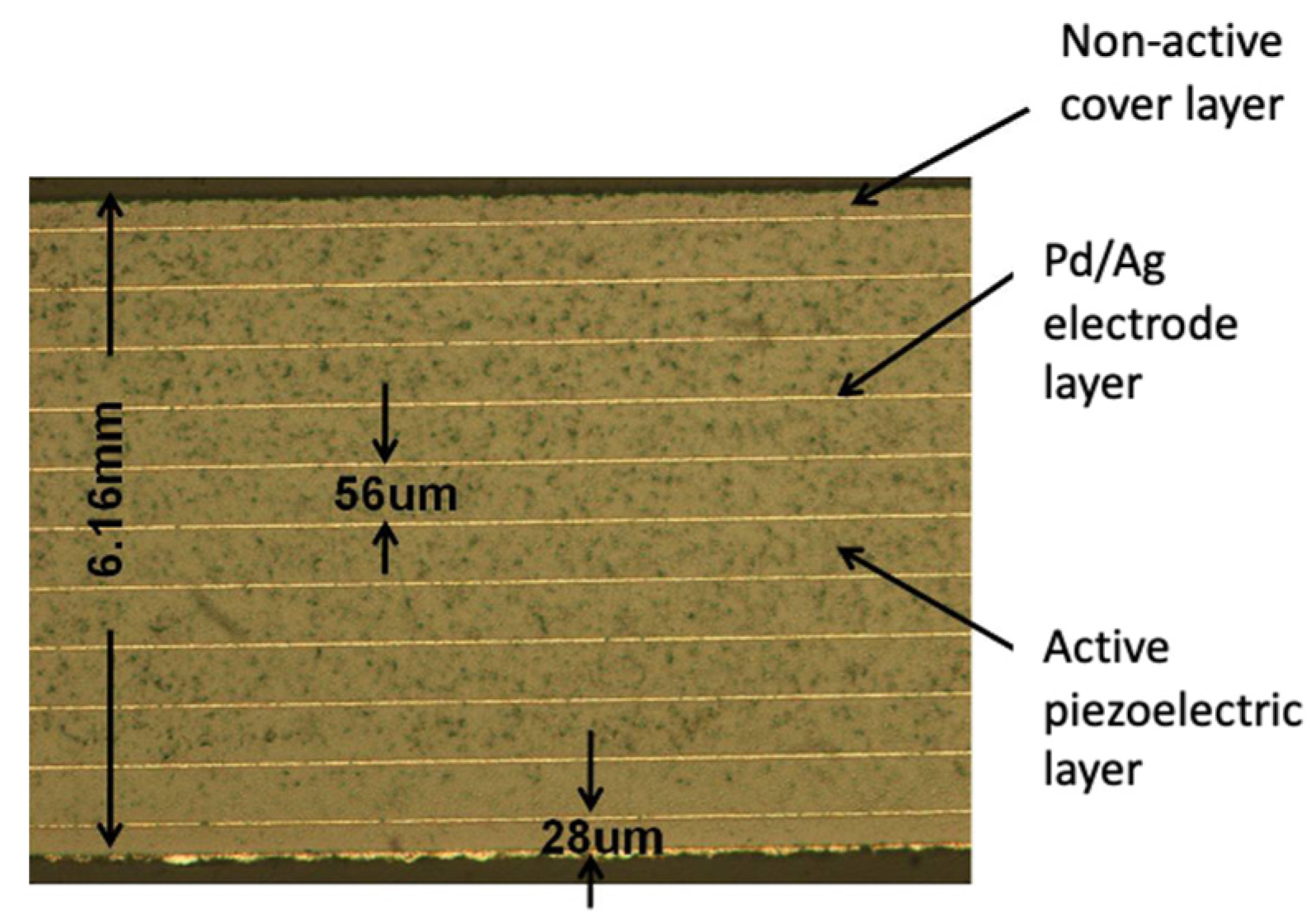 Micromachines 13 02126 g009