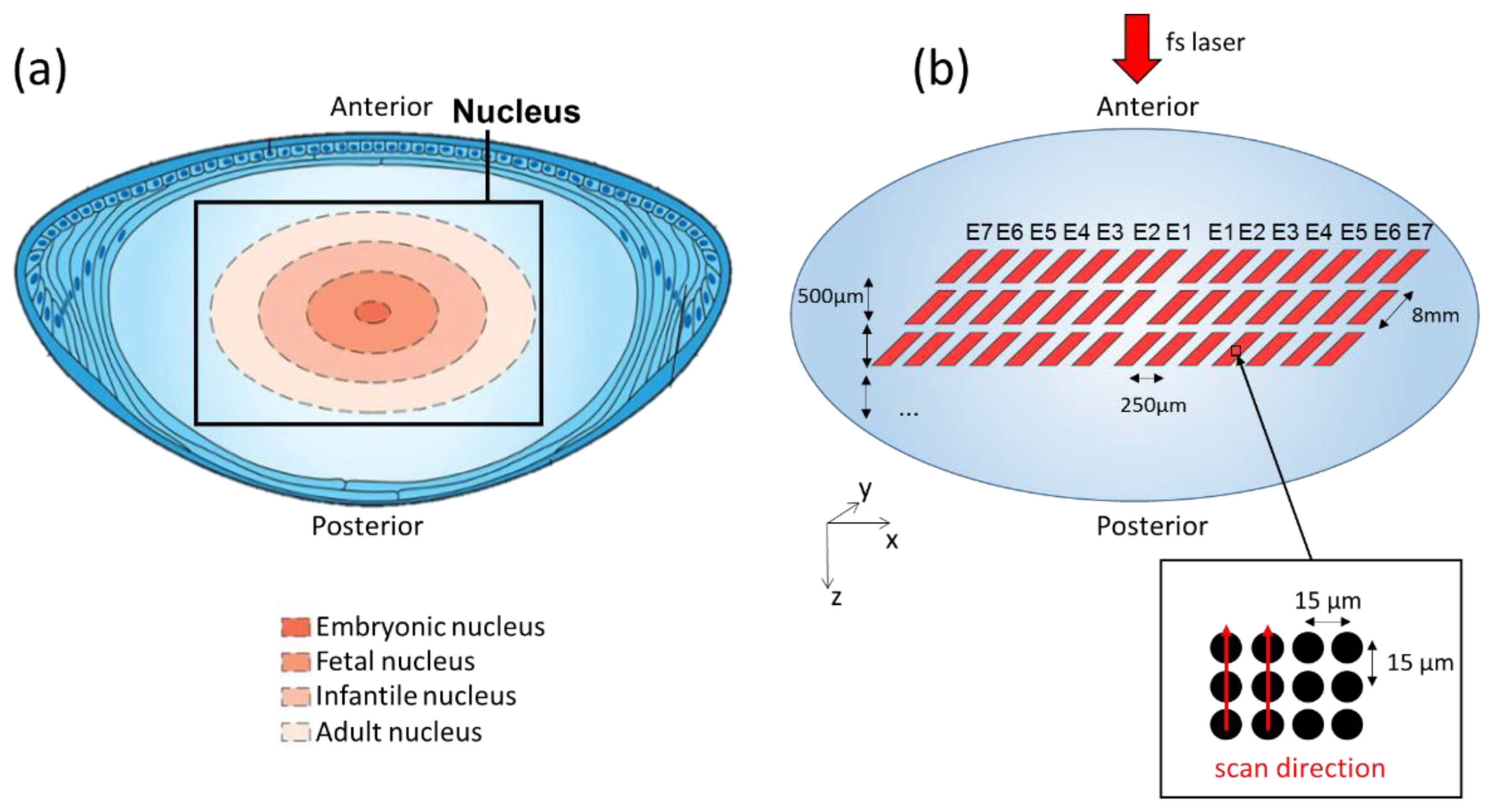 Micromachines 13 02128 g001