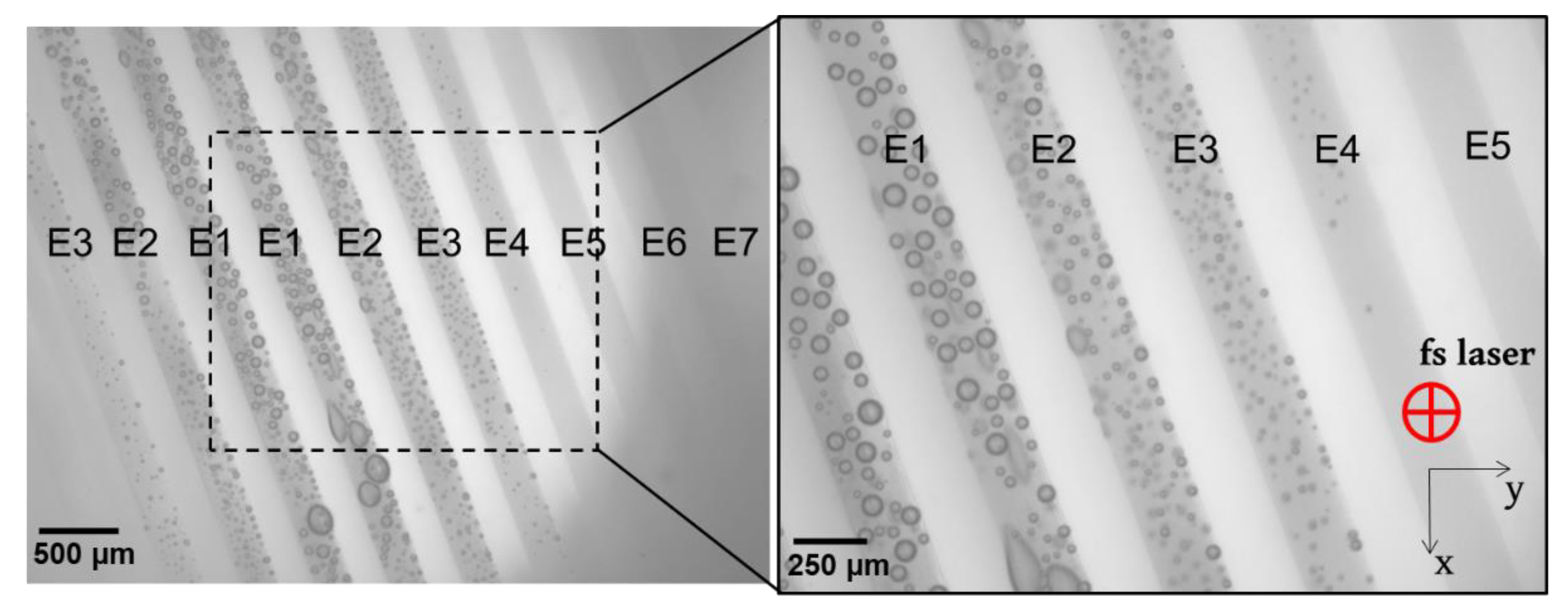 Micromachines 13 02128 g002