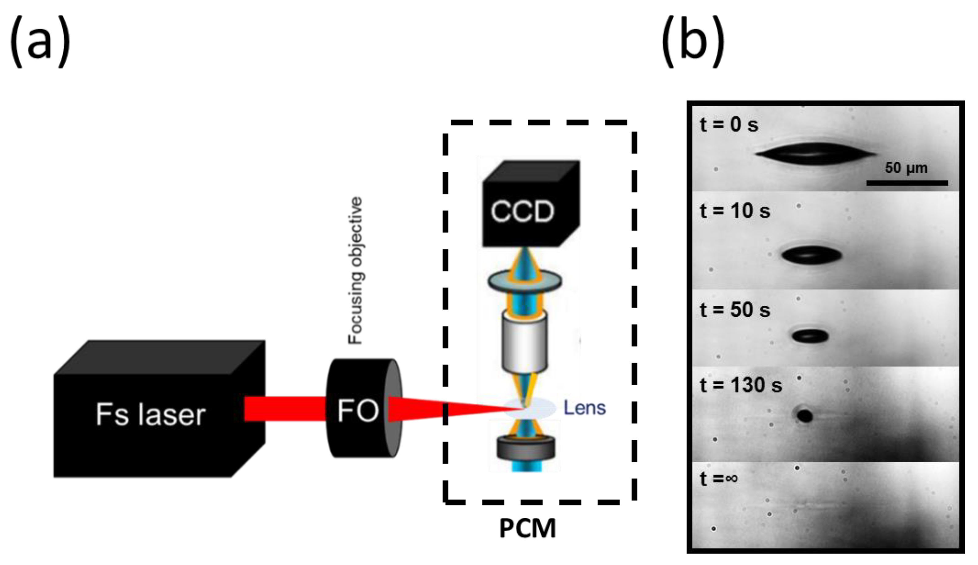 Micromachines 13 02128 g005