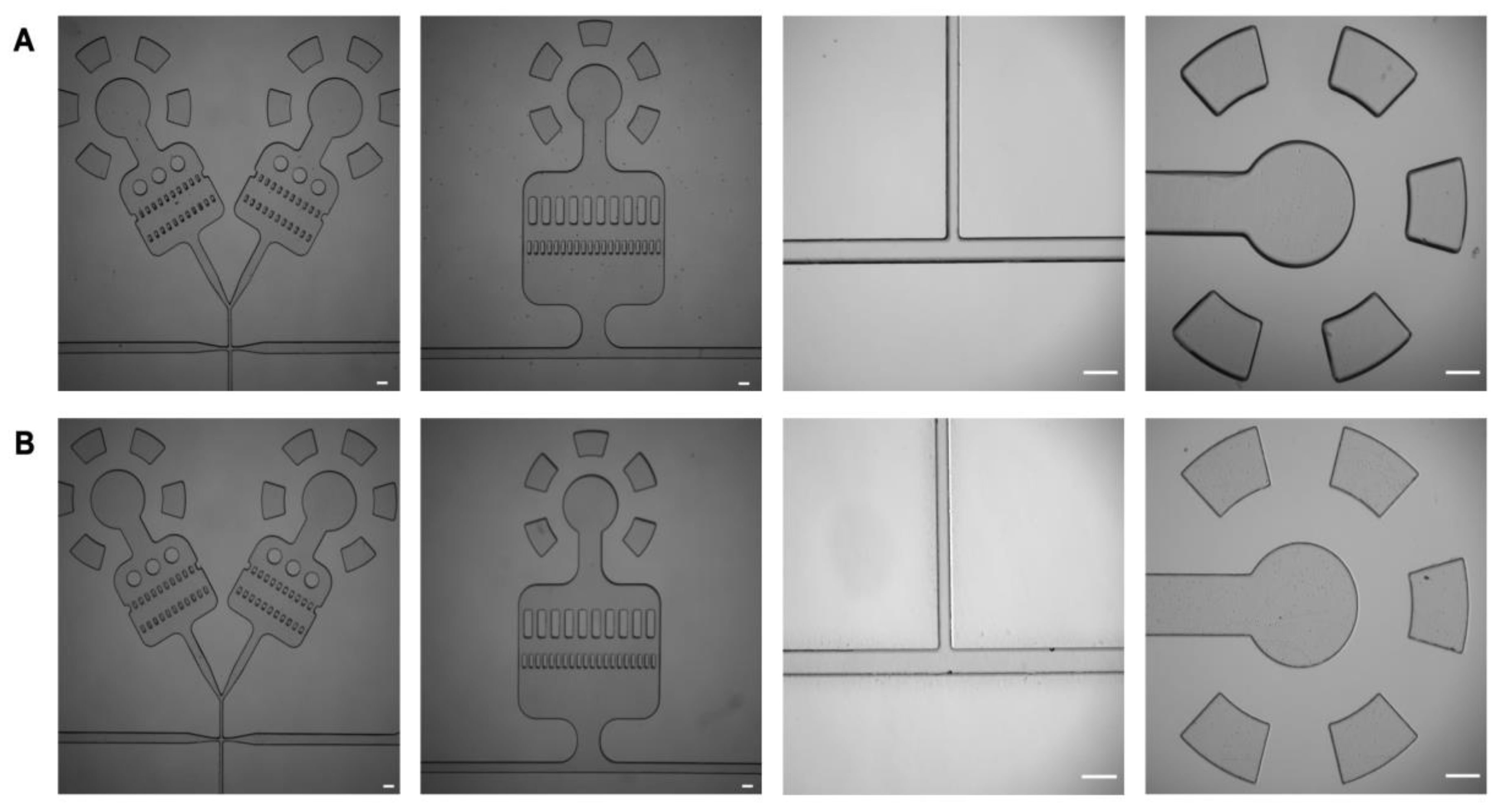 Micromachines 13 02129 g003