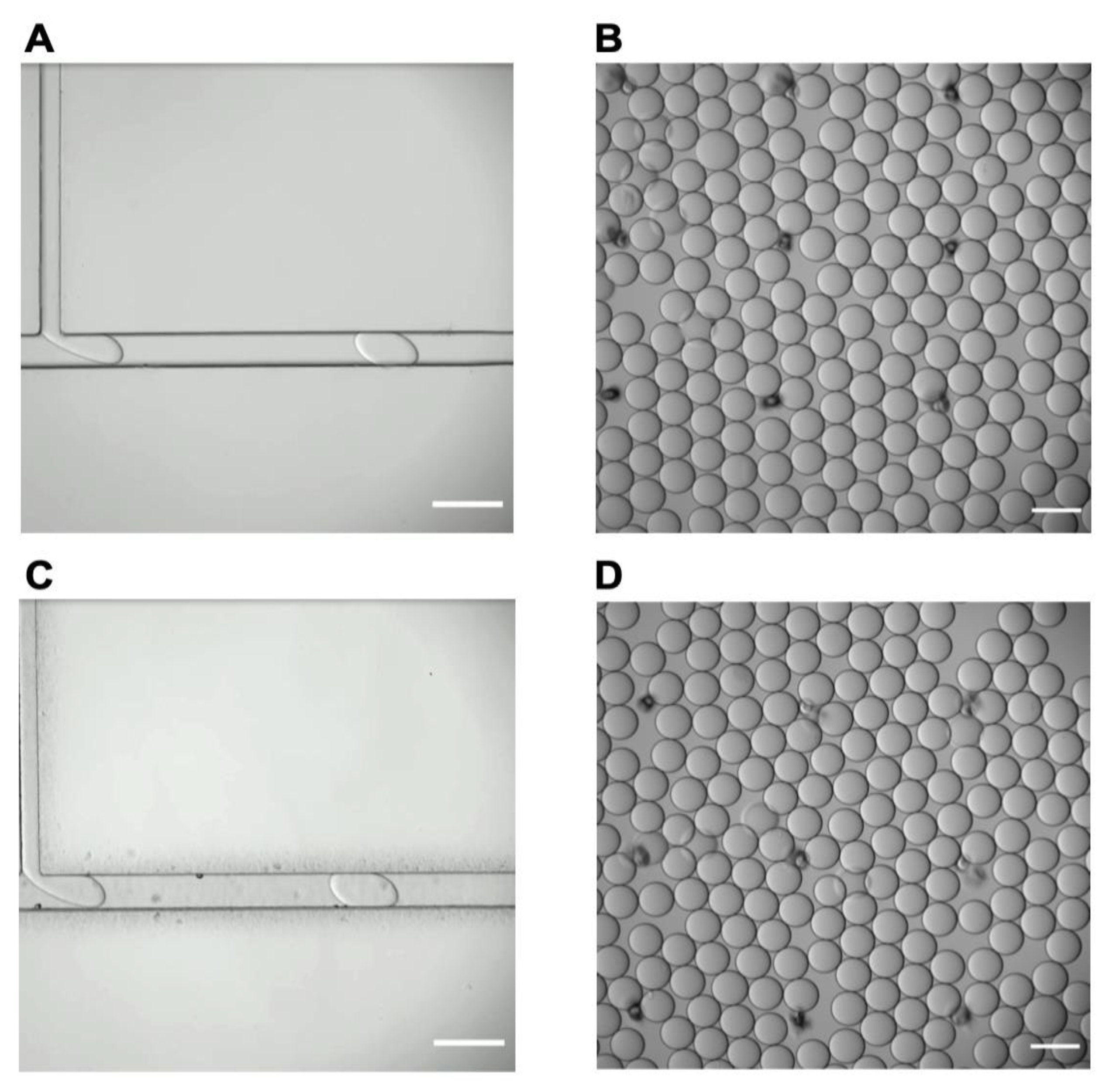 Micromachines 13 02129 g004