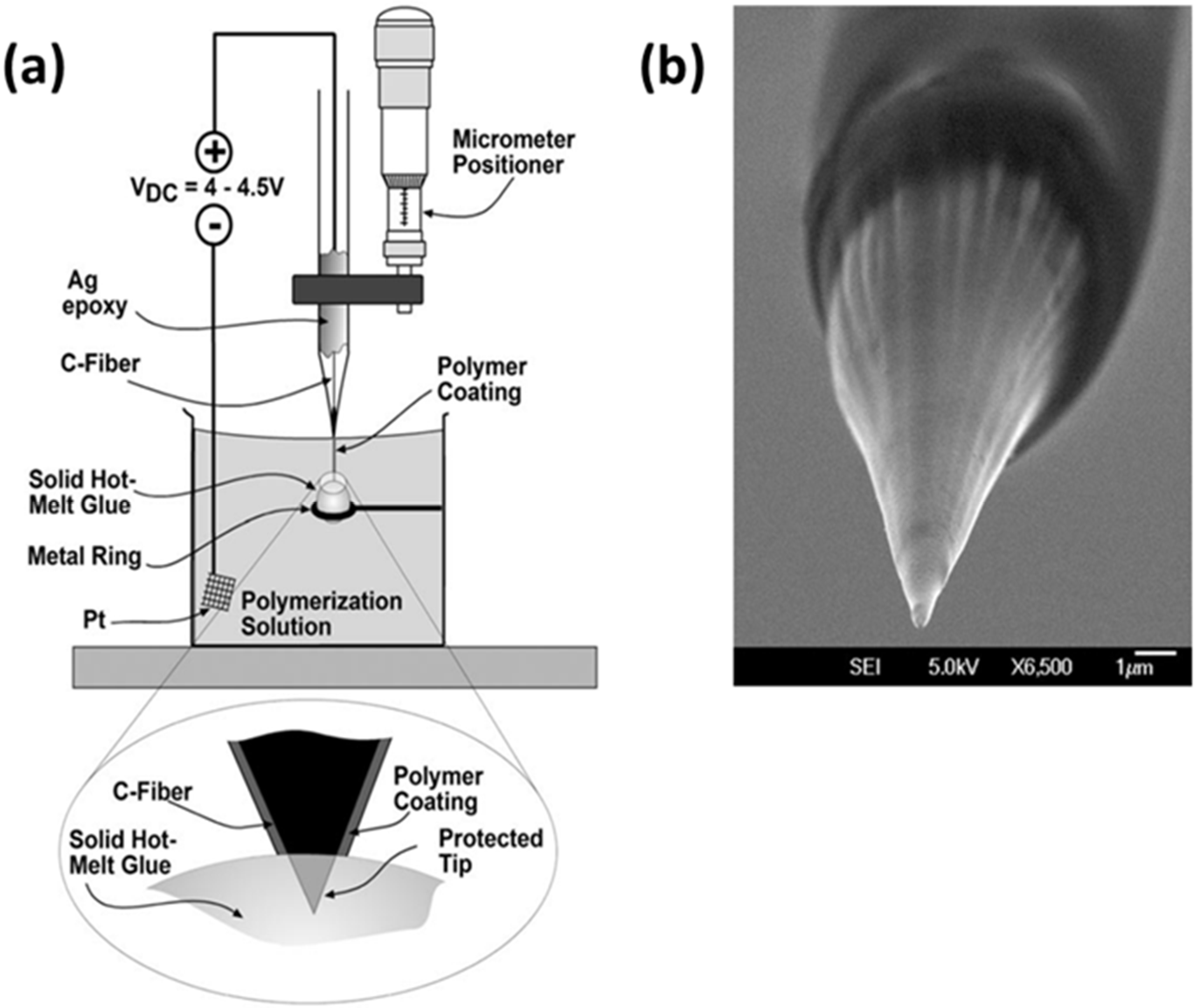 Micromachines 13 02143 g002