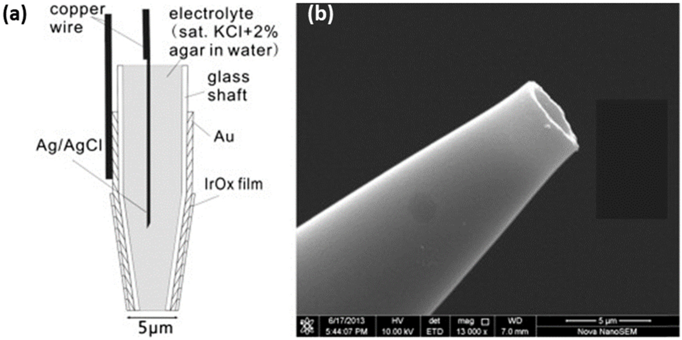 Micromachines 13 02143 g003