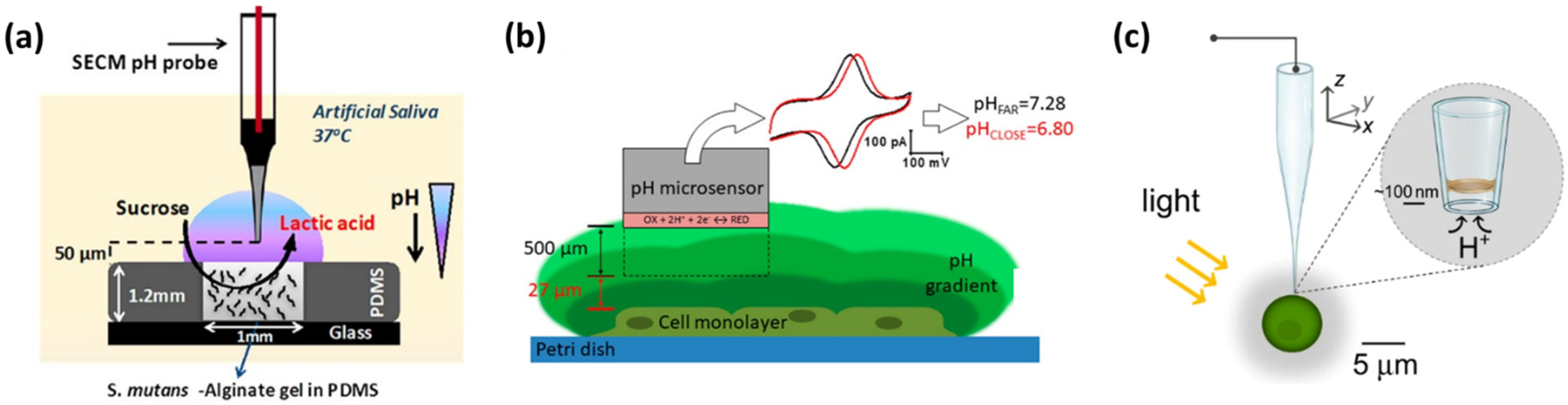 Micromachines 13 02143 g006